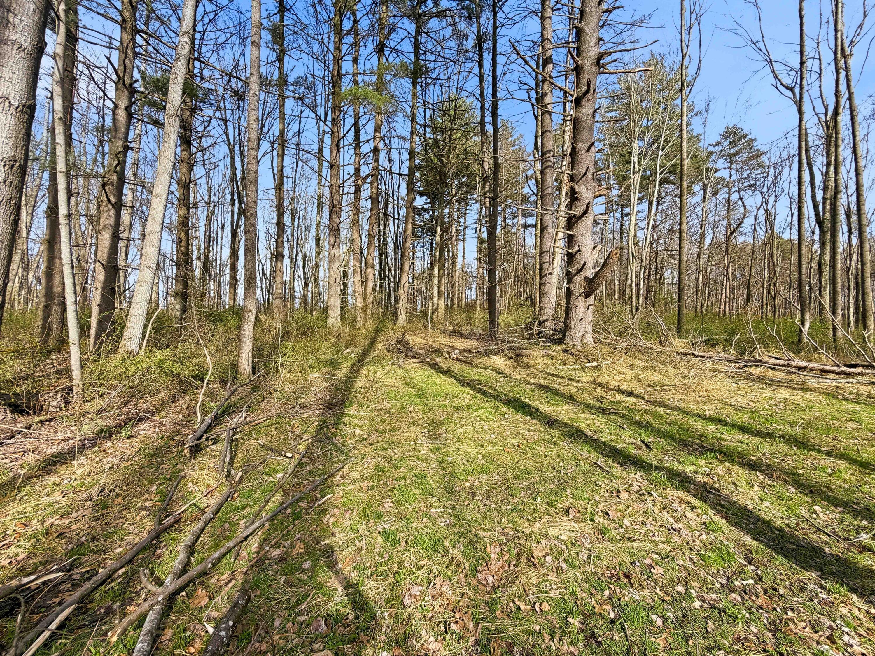 22470 Griffith Road Property Photo 9