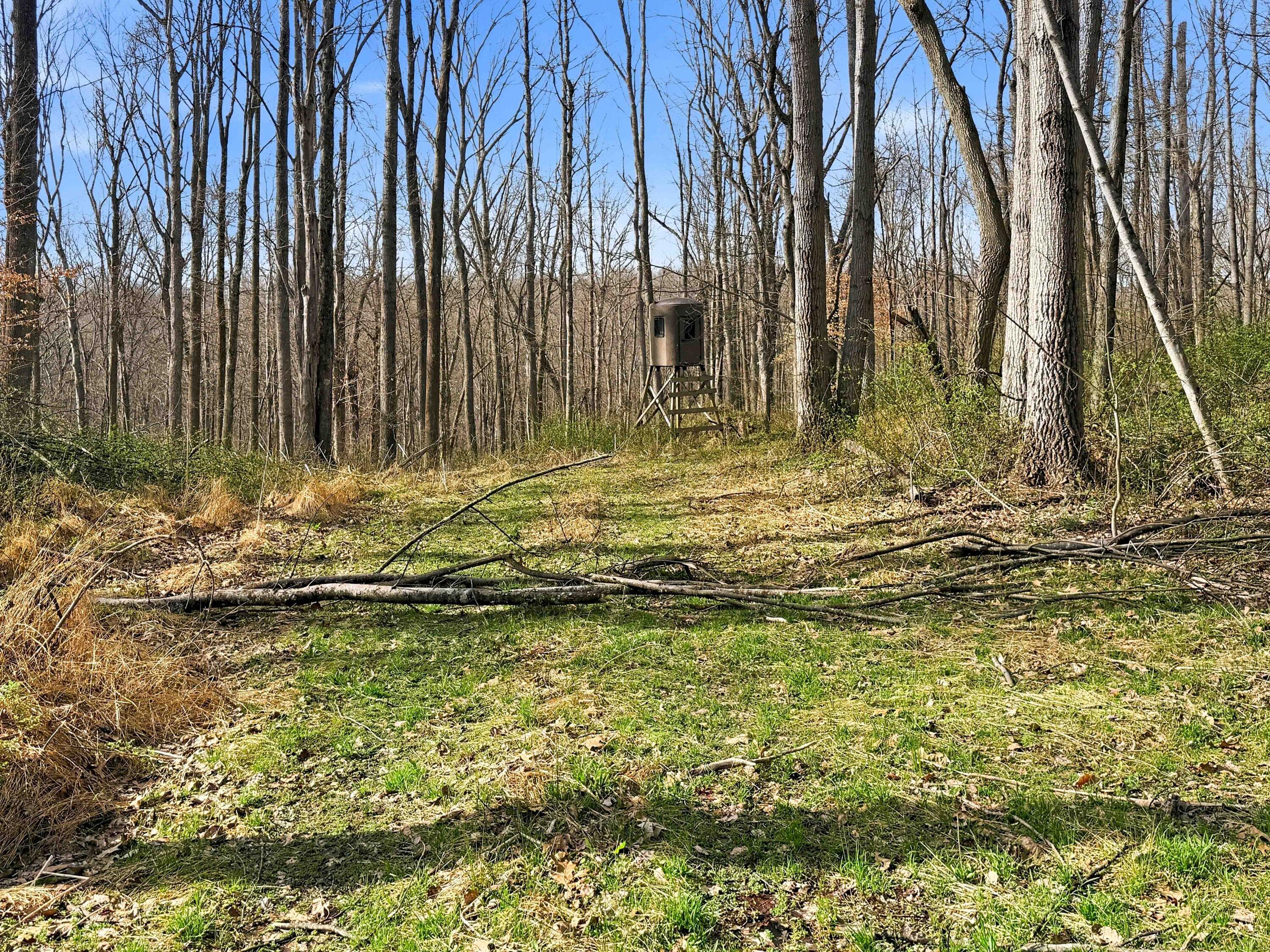 22470 Griffith Road Property Photo 10