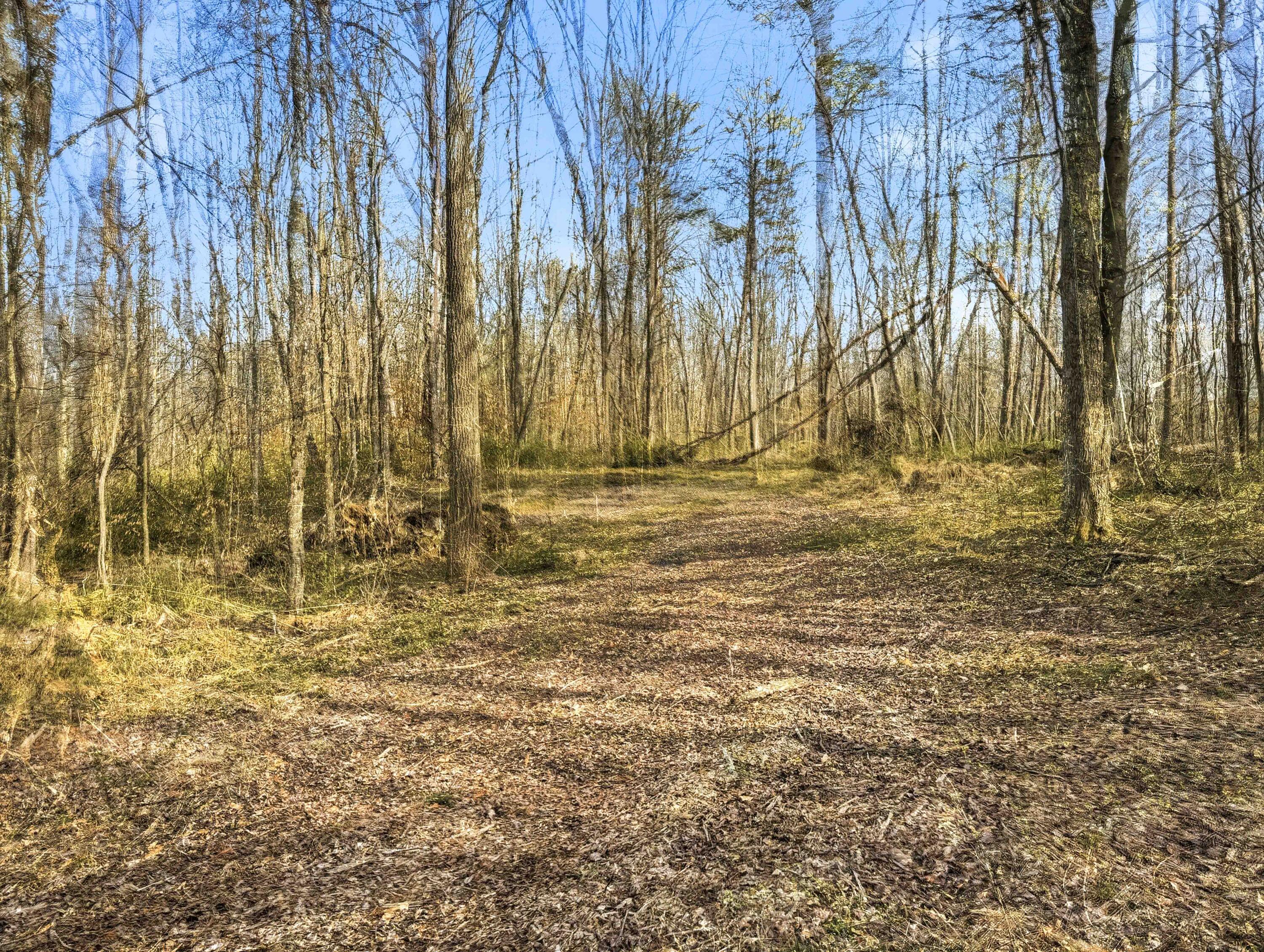 22470 Griffith Road Property Photo 11