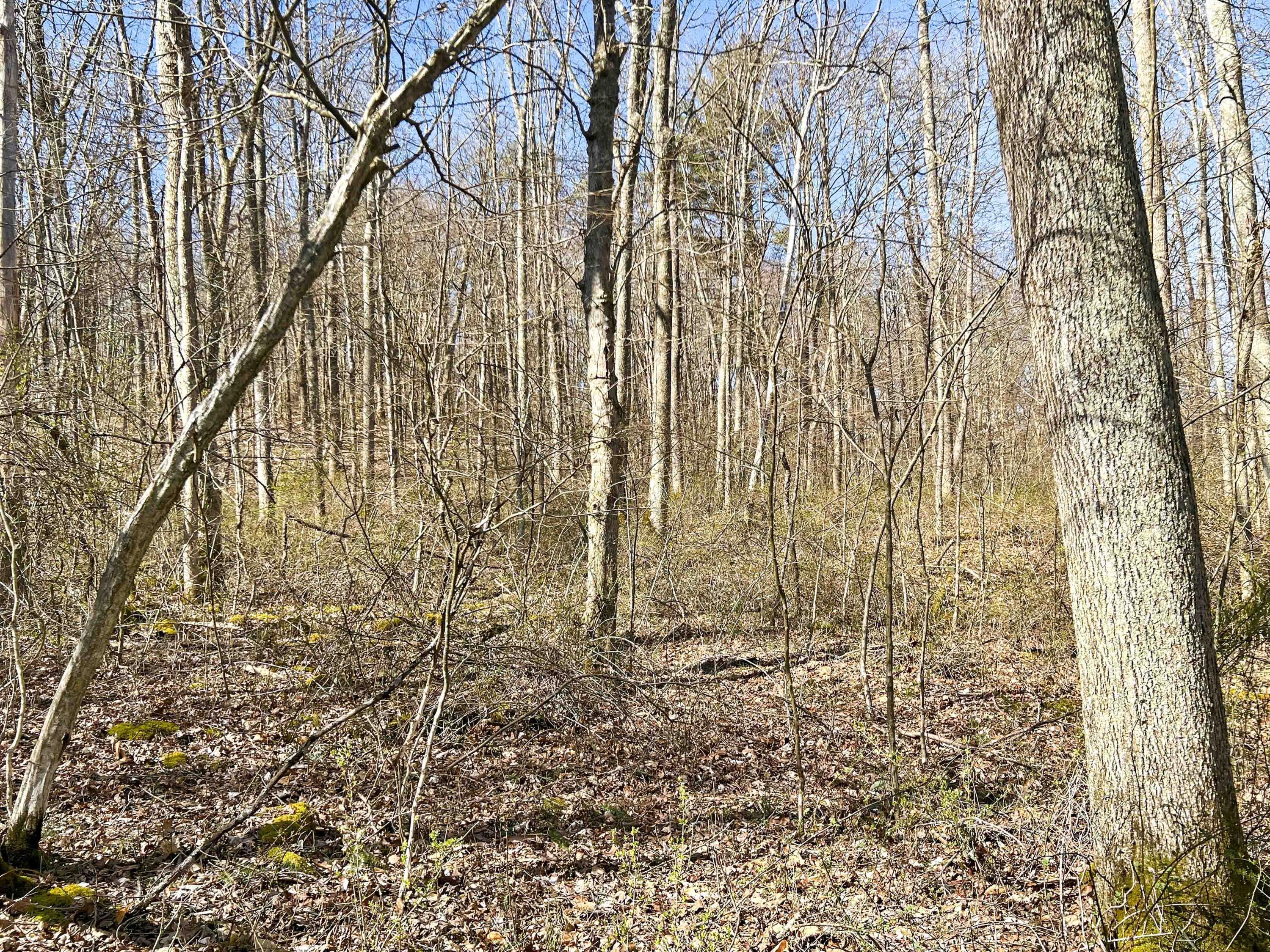 22470 Griffith Road Property Photo 13