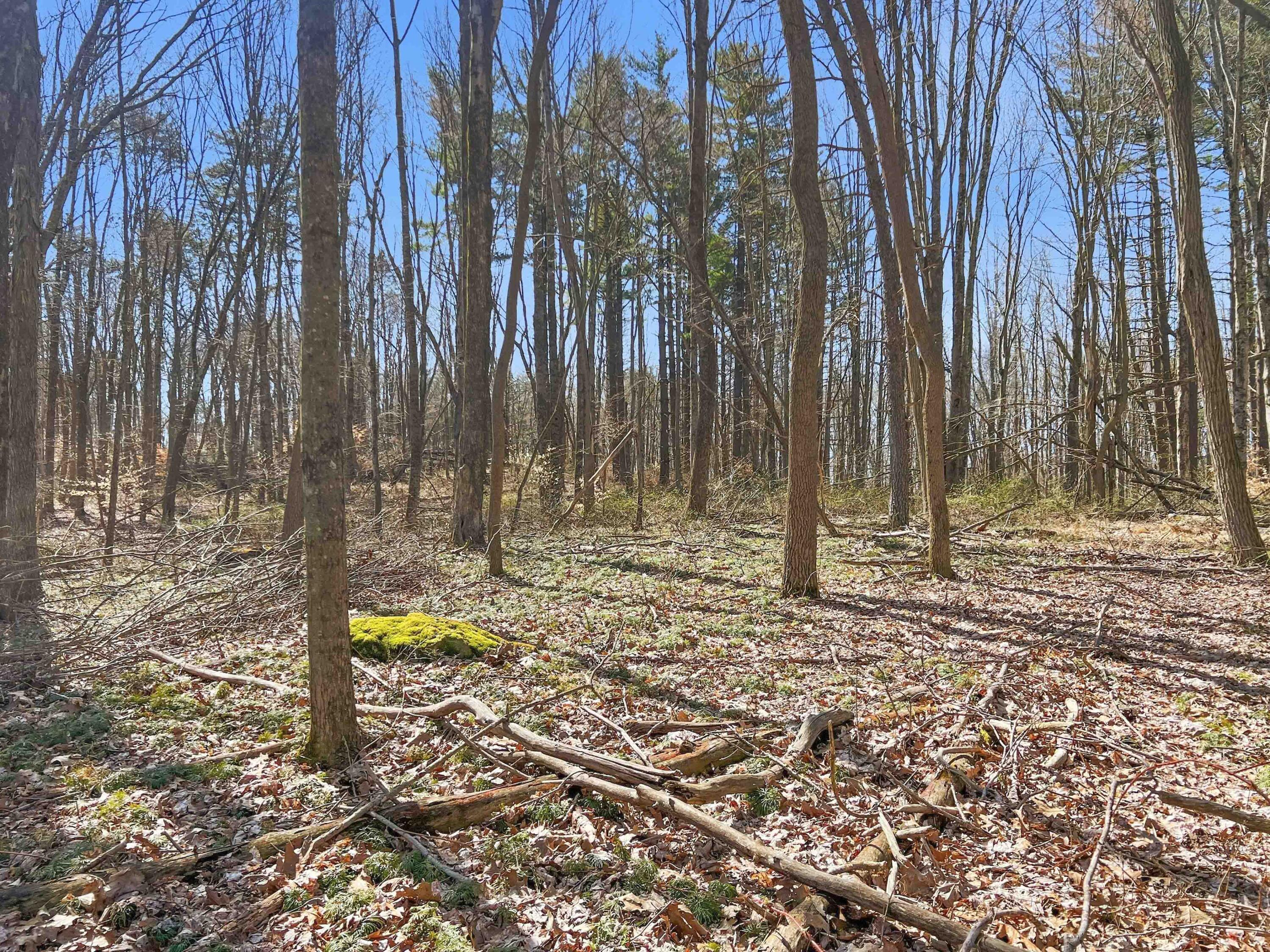 22470 Griffith Road Property Photo 19