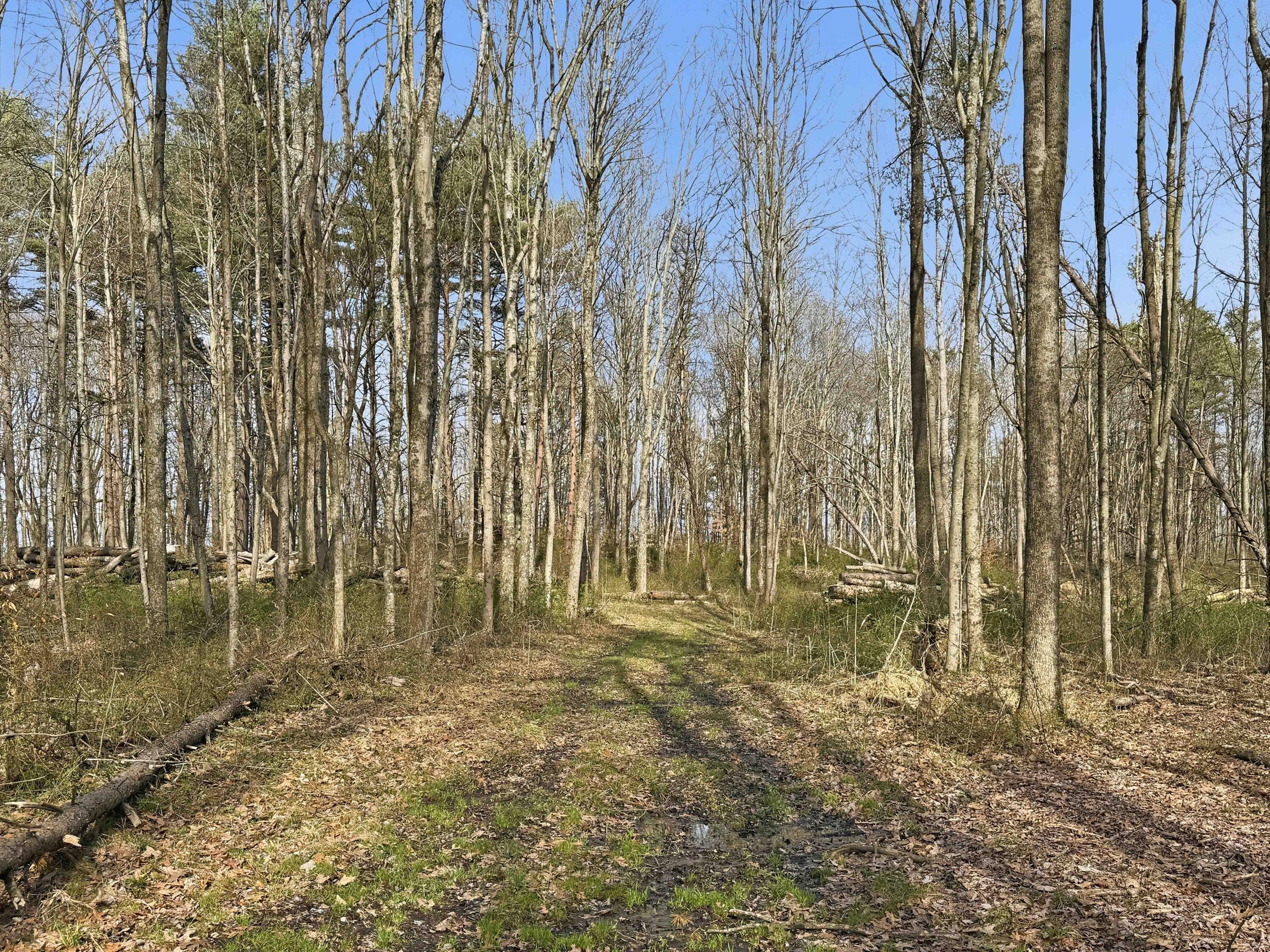 22470 Griffith Road Property Photo 20