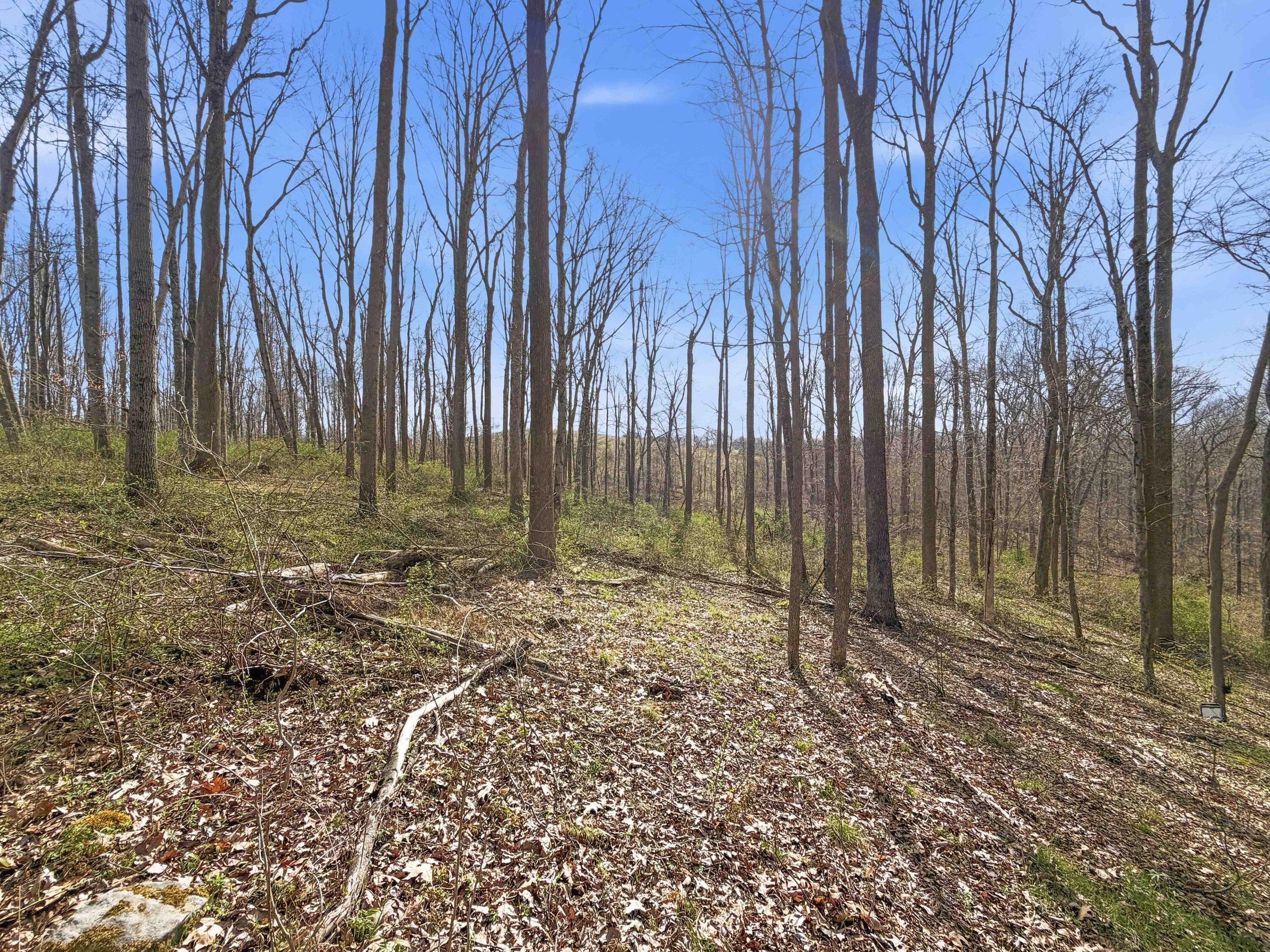 22470 Griffith Road Property Photo 25