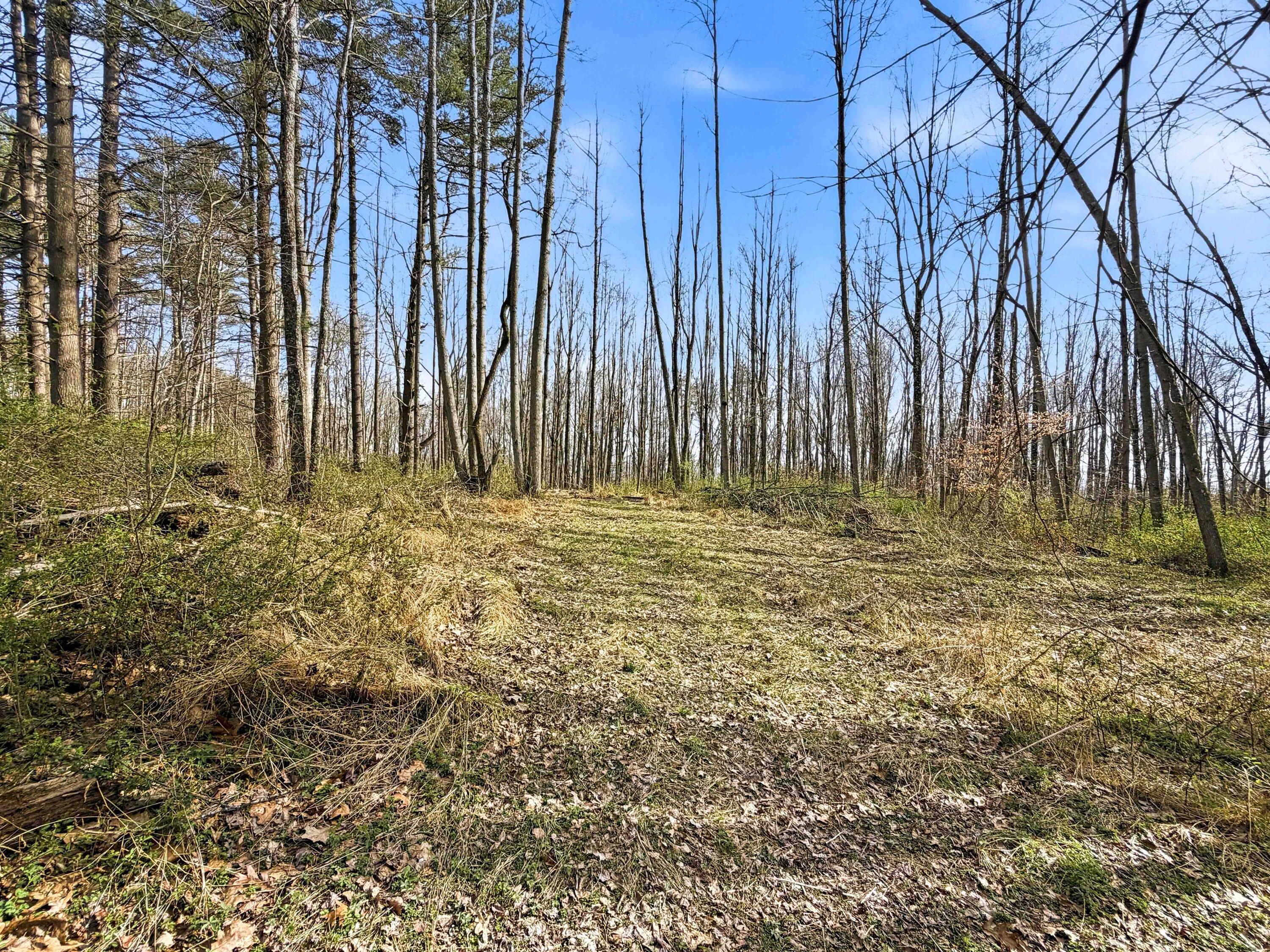 22470 Griffith Road Property Photo 26