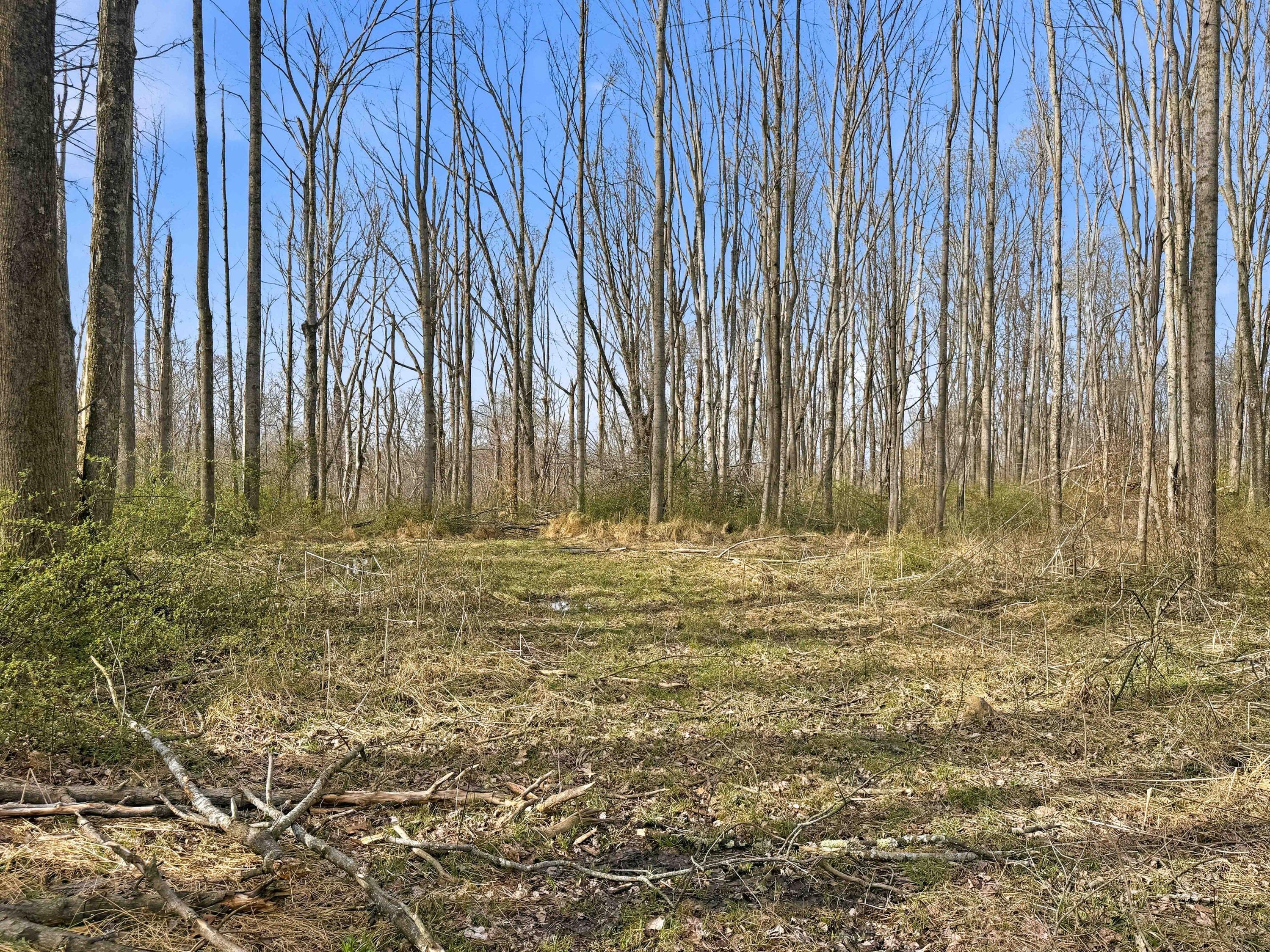 22470 Griffith Road Property Photo 29