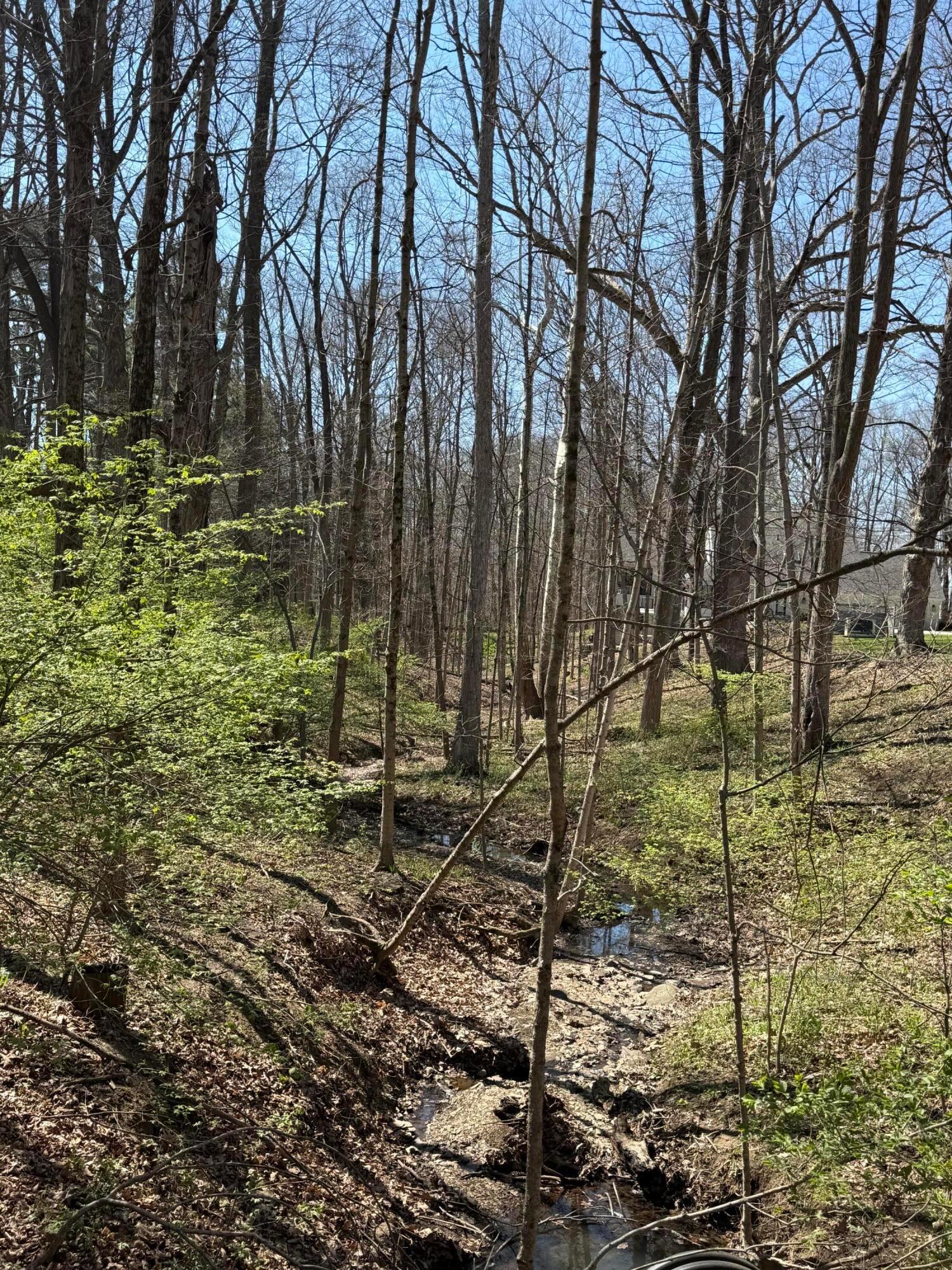 226010955 Property Photo 4