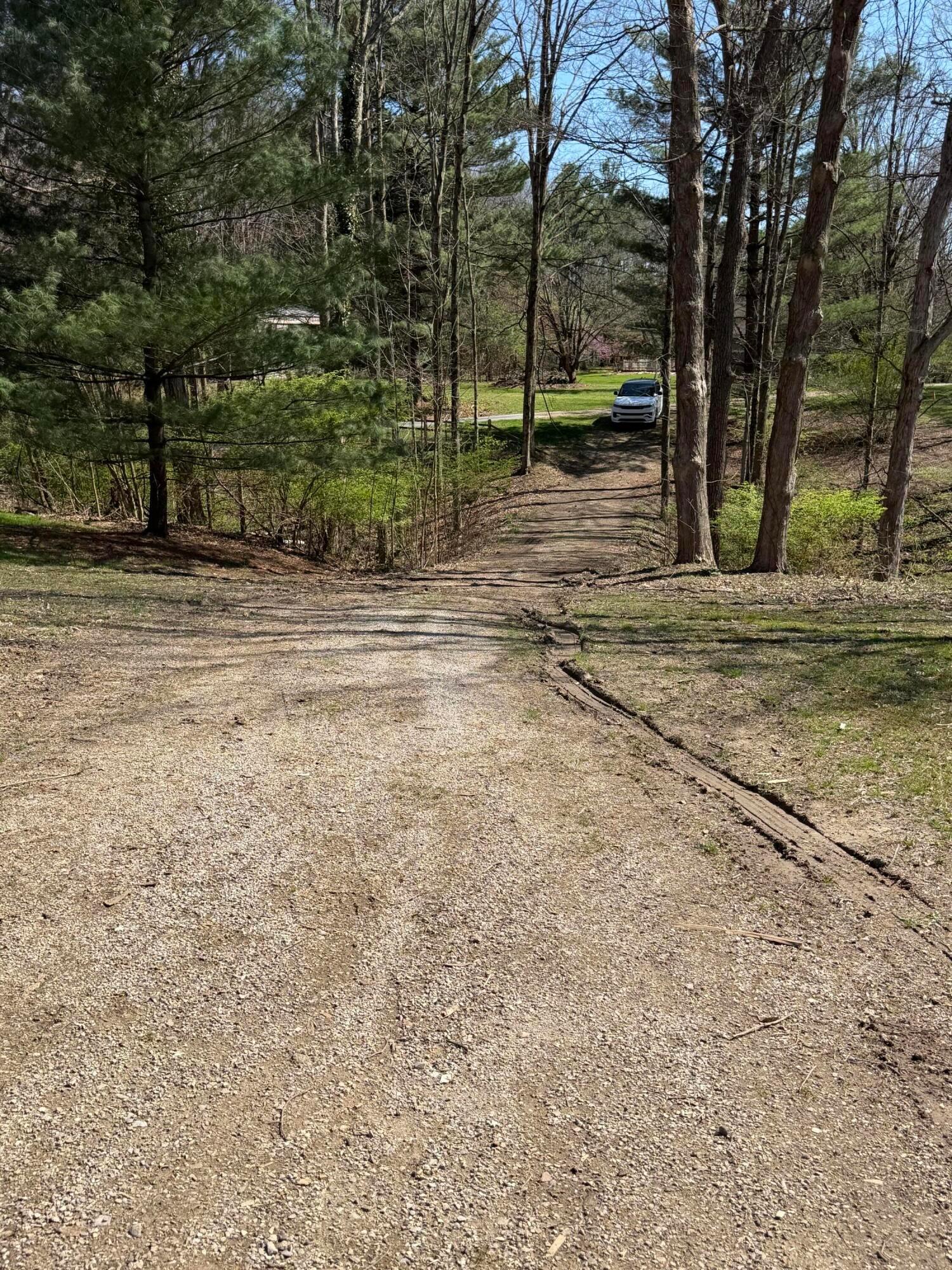 226010955 Property Photo 8