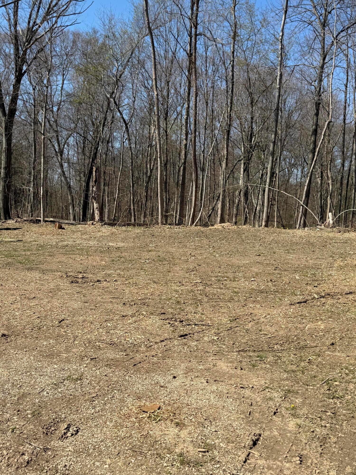 226010955 Property Photo 9