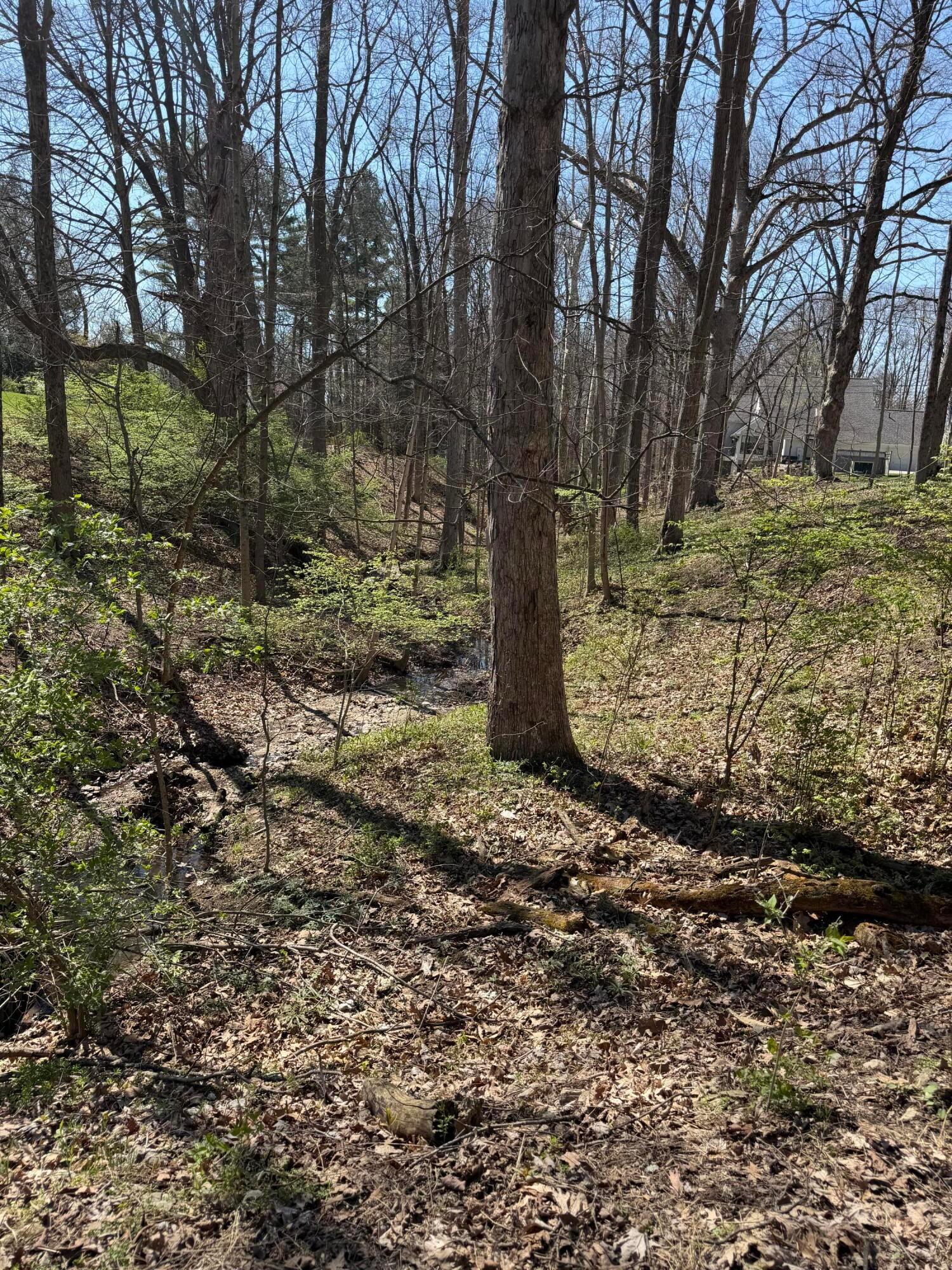 226010955 Property Photo 14