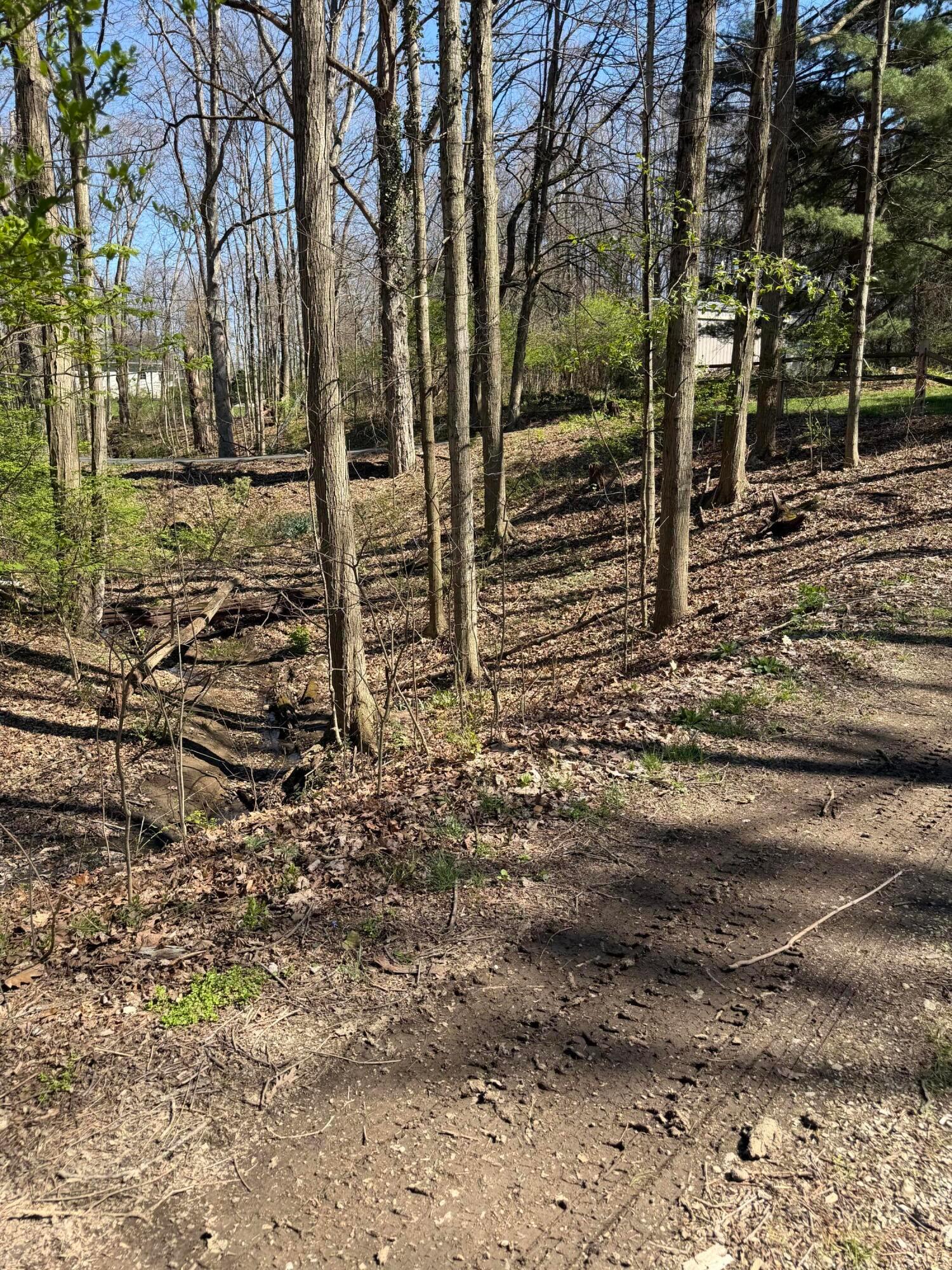 226010955 Property Photo 15