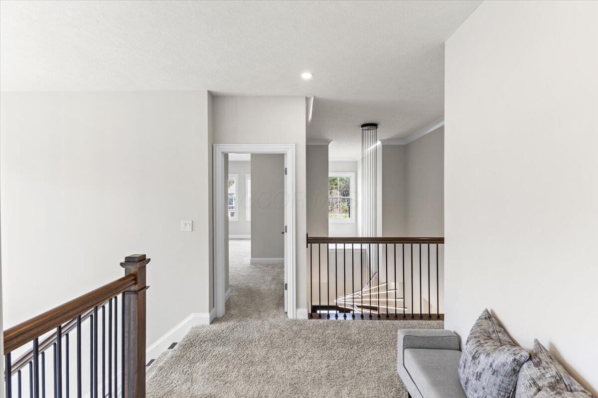 11115 Plum Ridge Place Property Photo 48