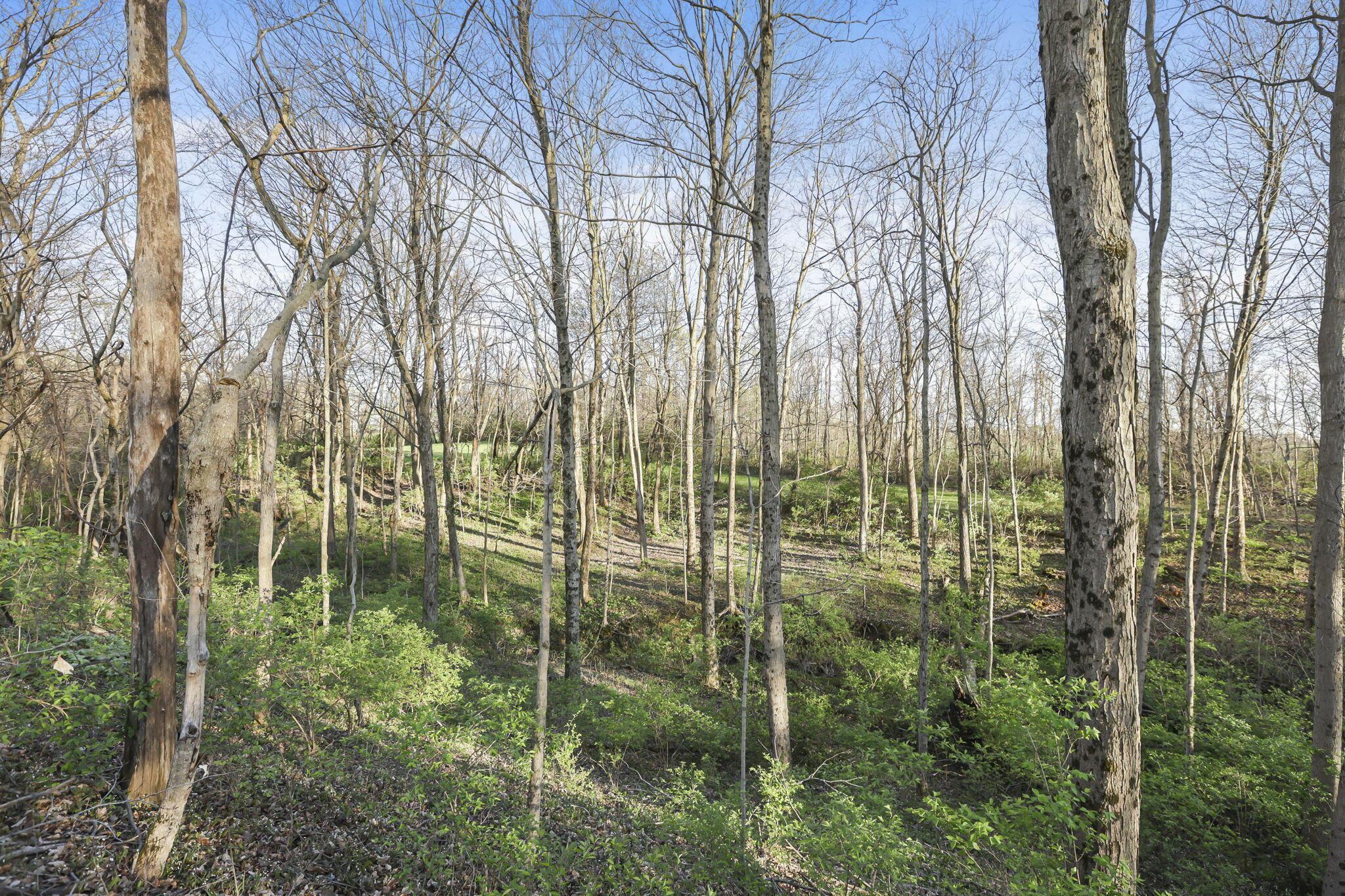 6164 Heigle Road Sw Property Photo 5