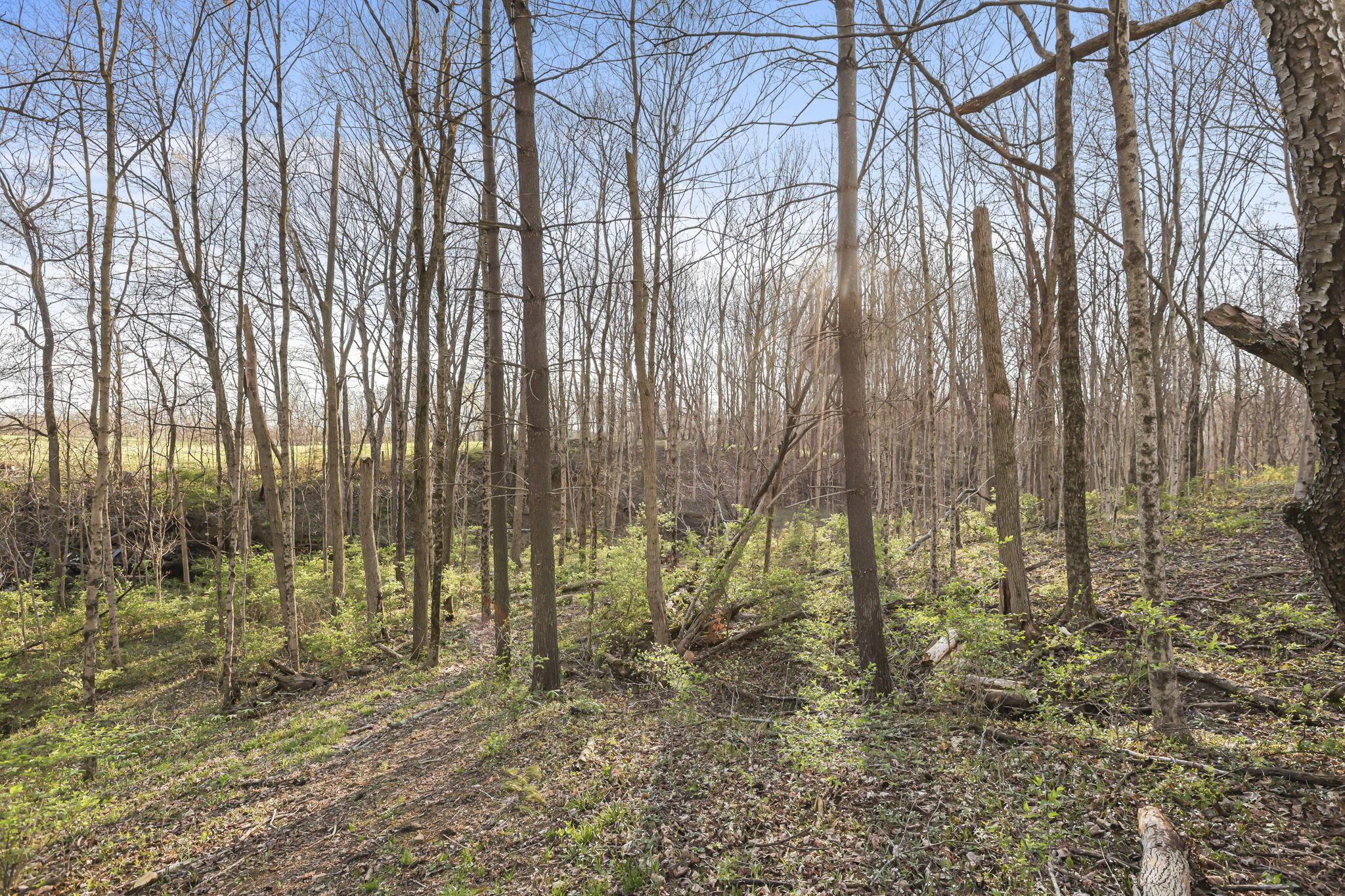 6164 Heigle Road Sw Property Photo 11