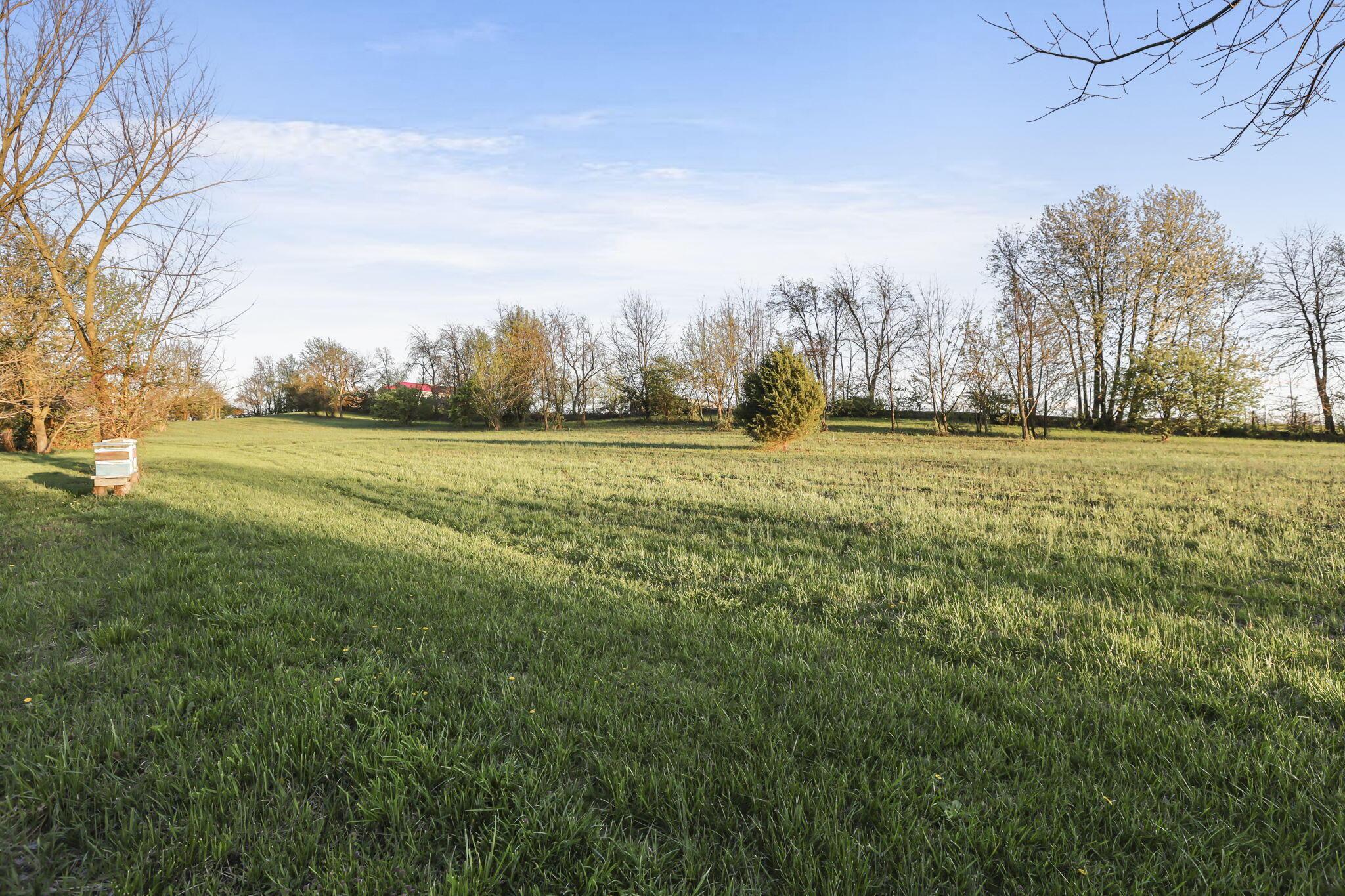 6164 Heigle Road Sw Property Photo 18