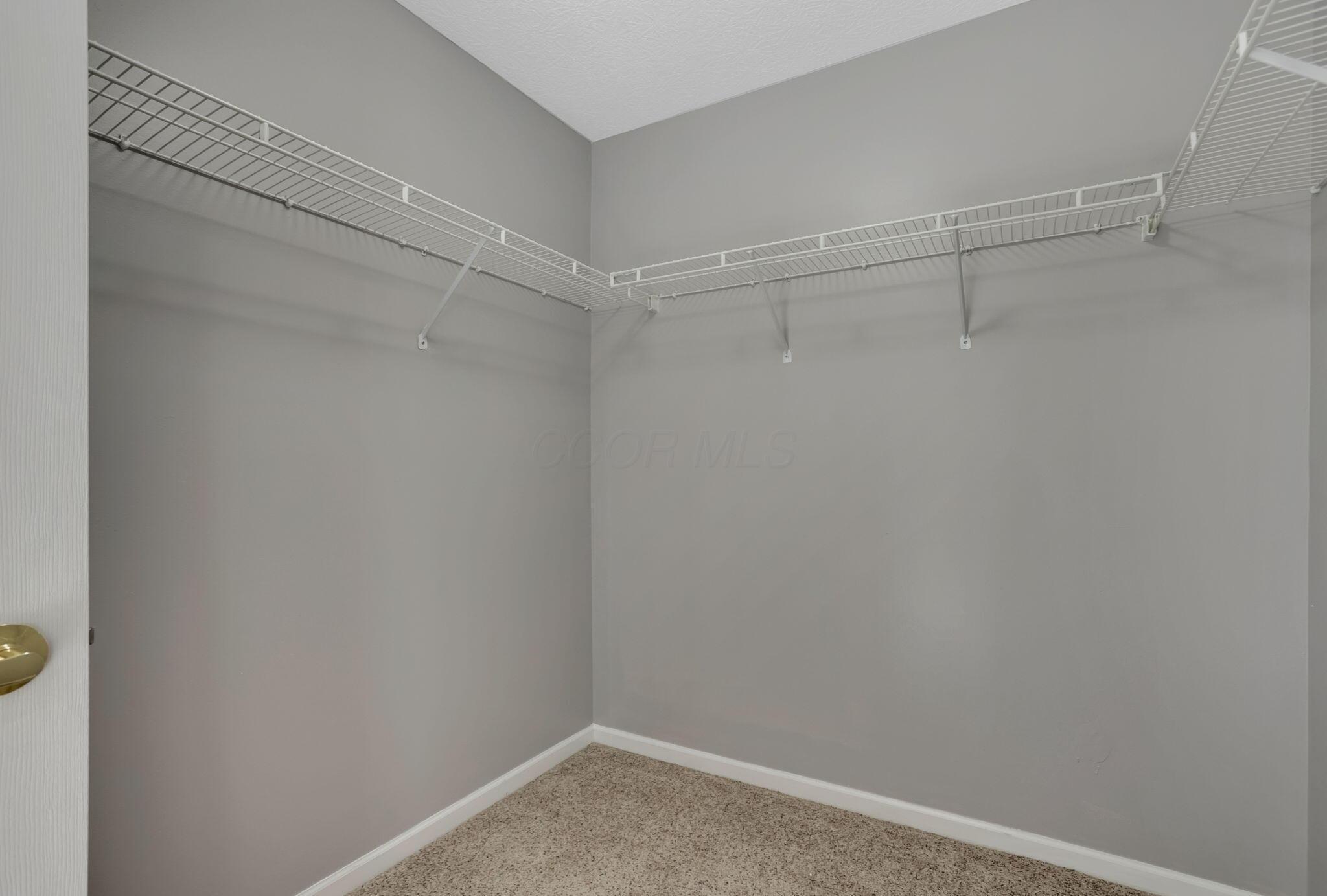 4943 Albany Meadow Property Photo 17