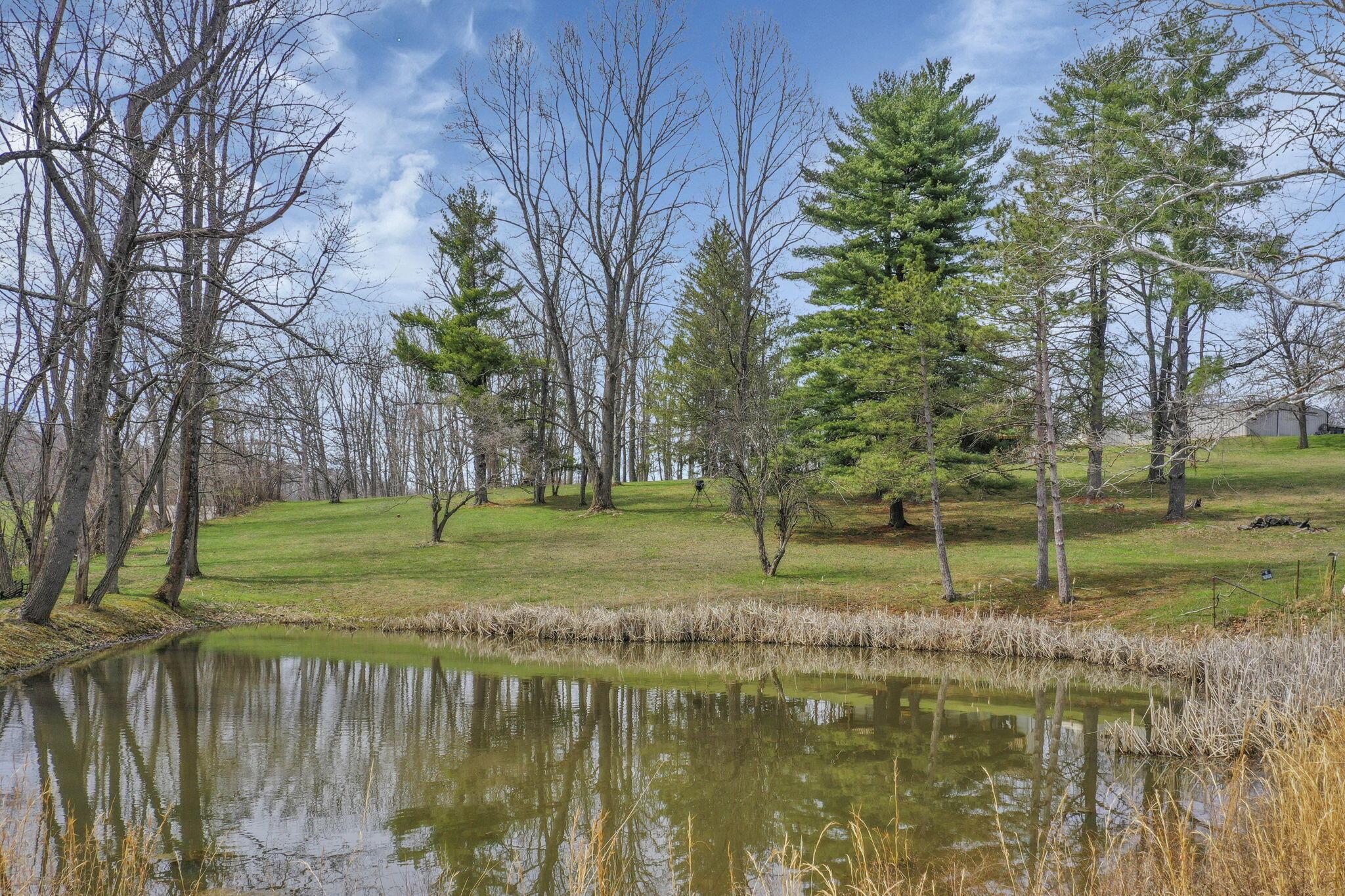 226012427 Property Photo 67