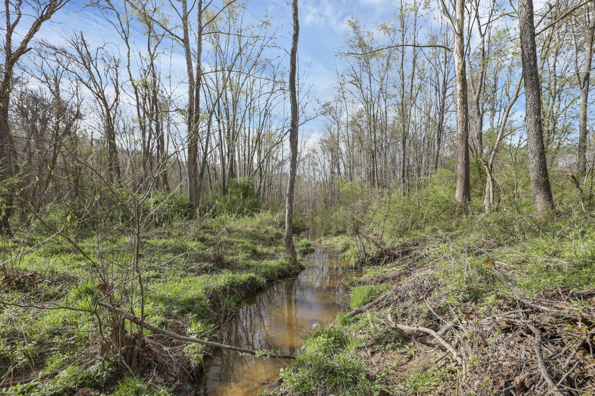 67230 Creek Road Property Photo 51