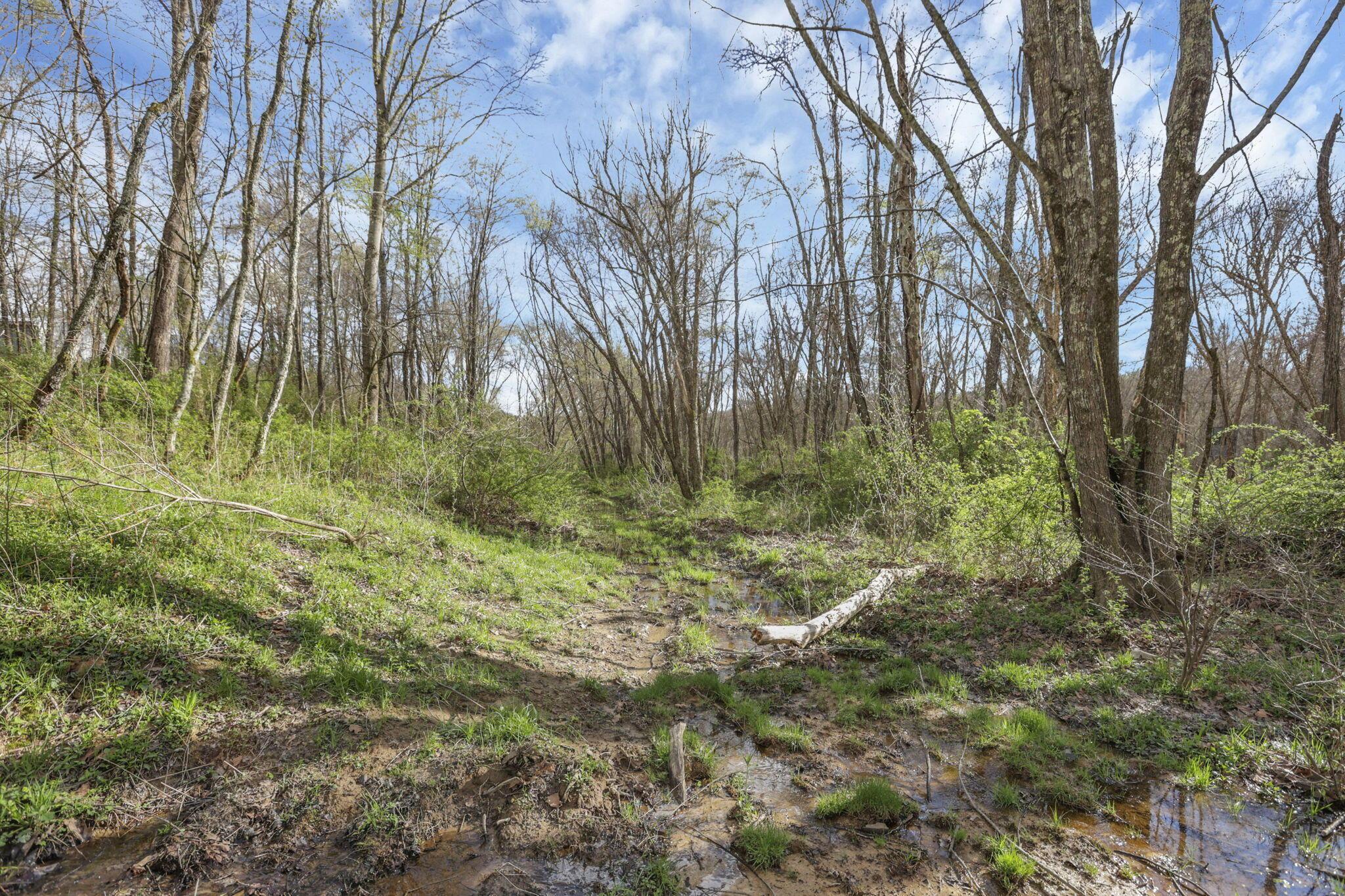 67230 Creek Road Property Photo 52