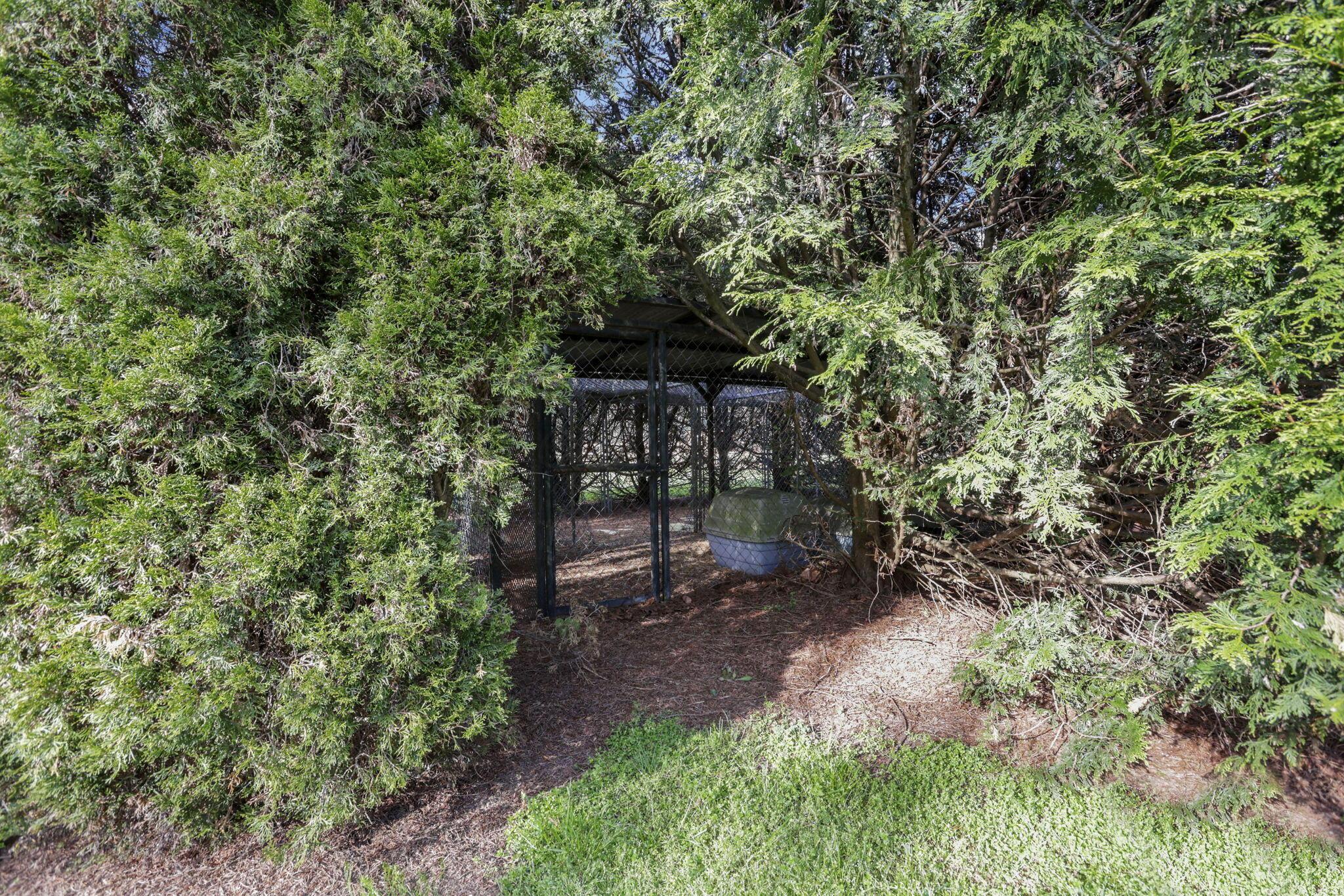67230 Creek Road Property Photo 57