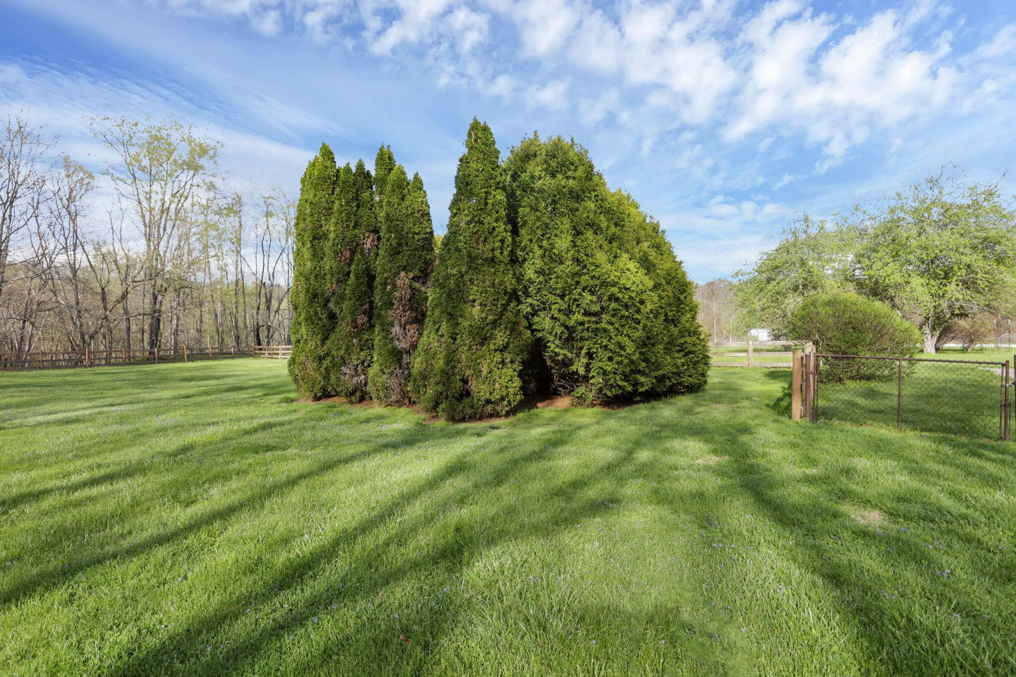 67230 Creek Road Property Photo 58