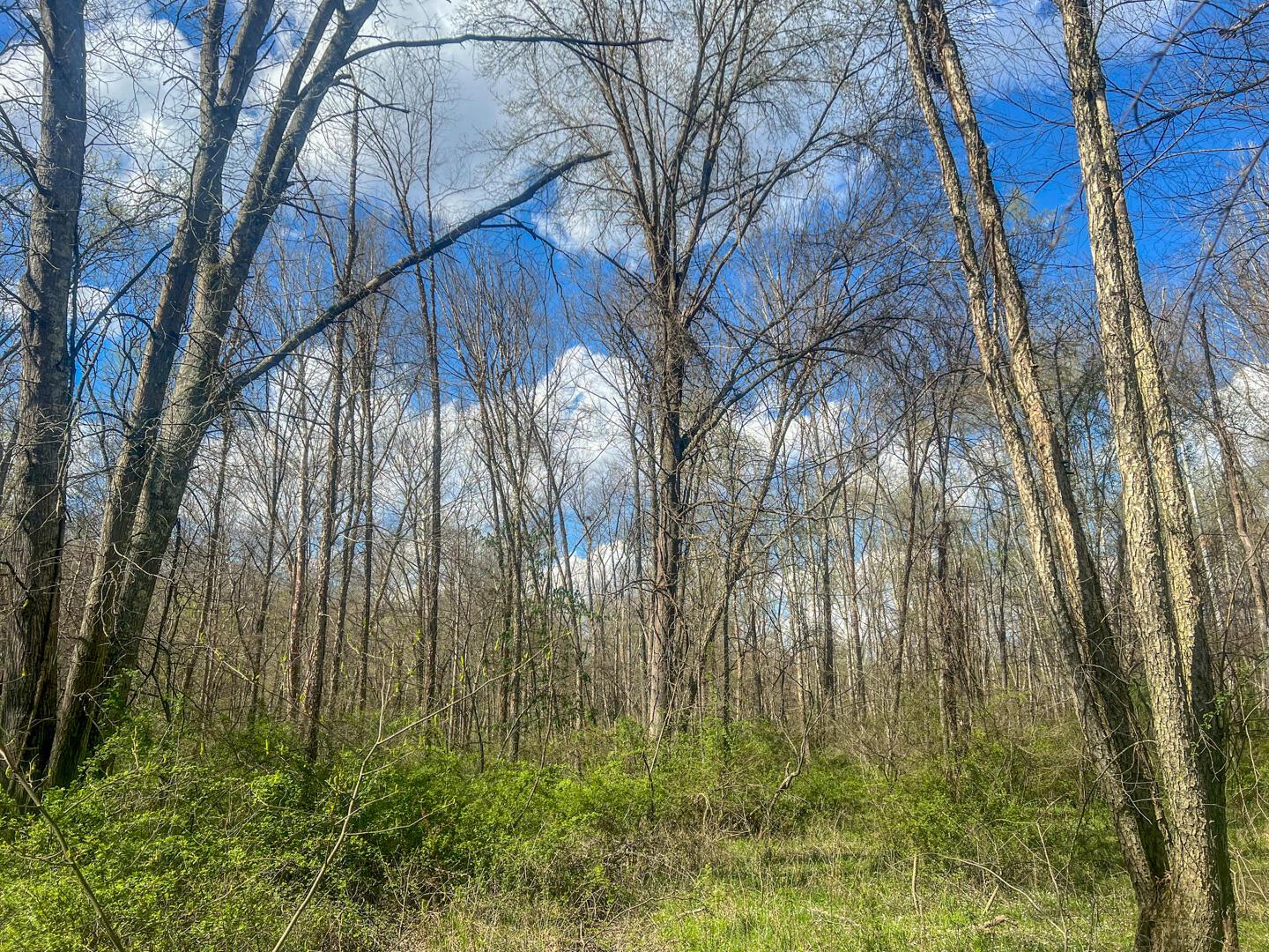 67230 Creek Road Property Photo 66