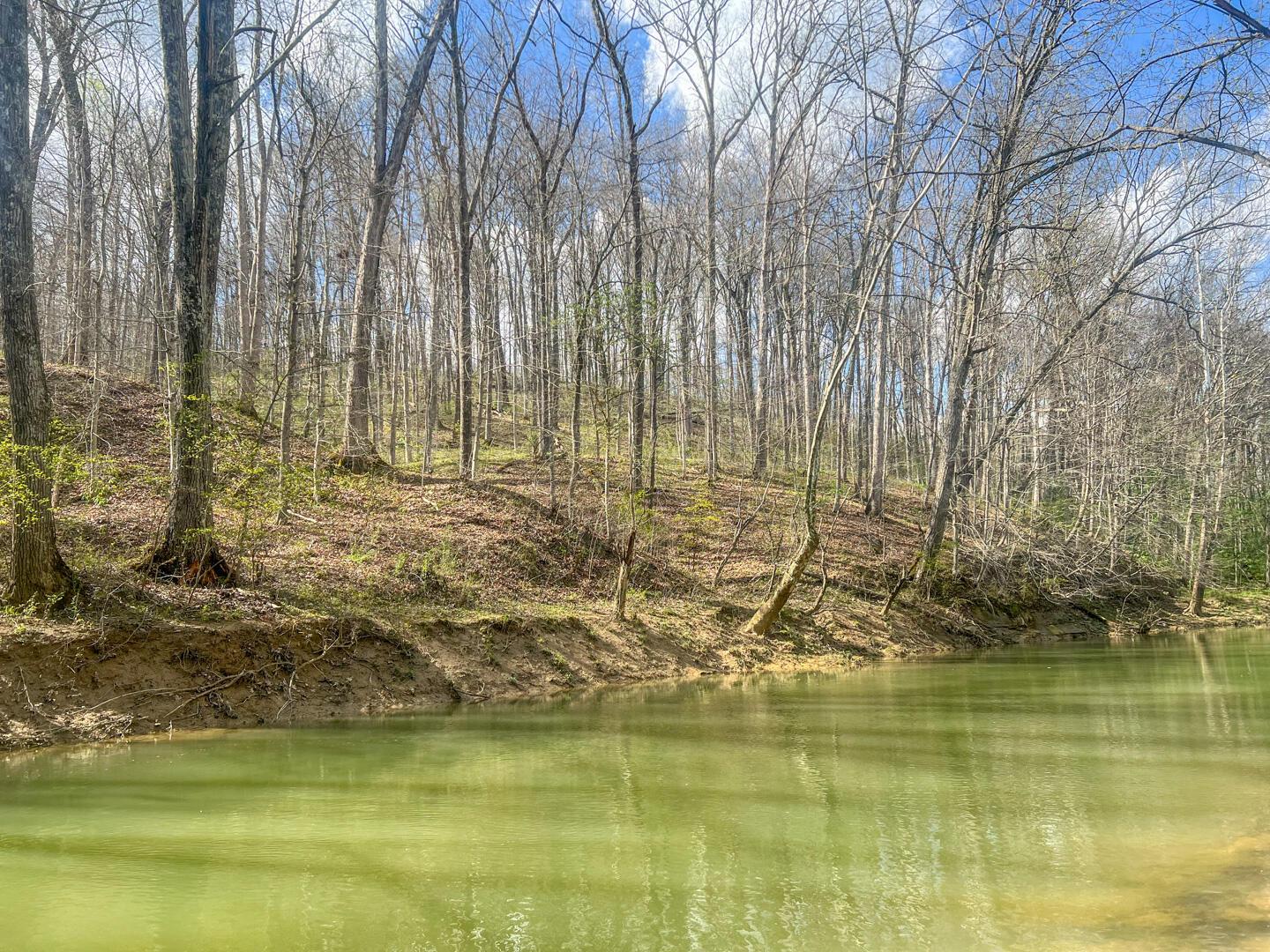 67230 Creek Road Property Photo 68