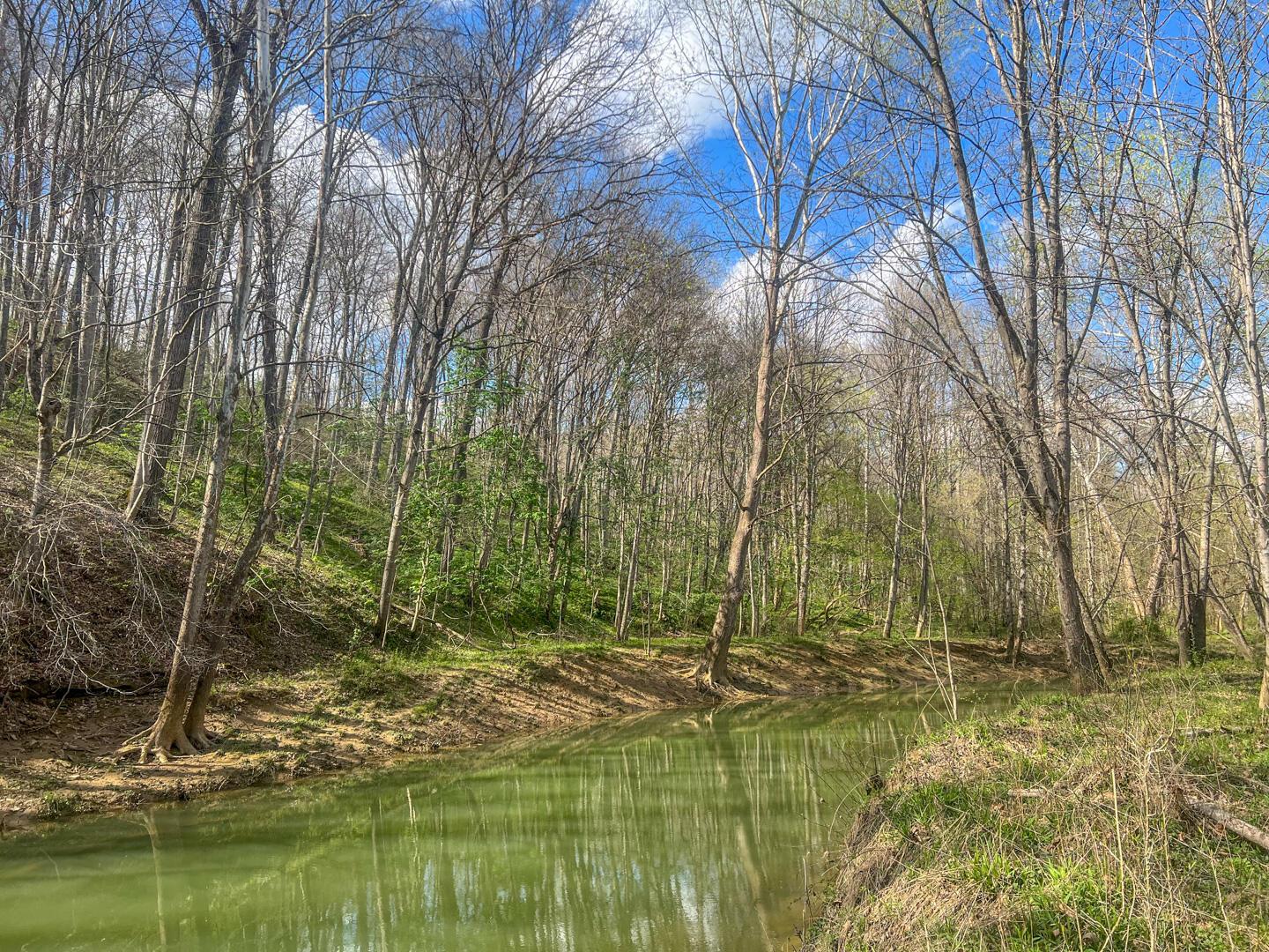 67230 Creek Road Property Photo 70