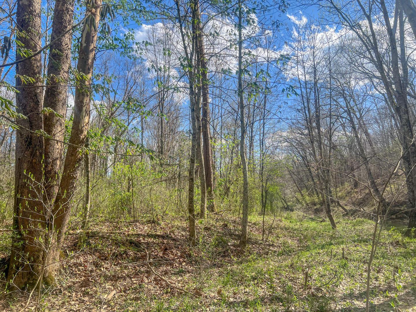 67230 Creek Road Property Photo 71