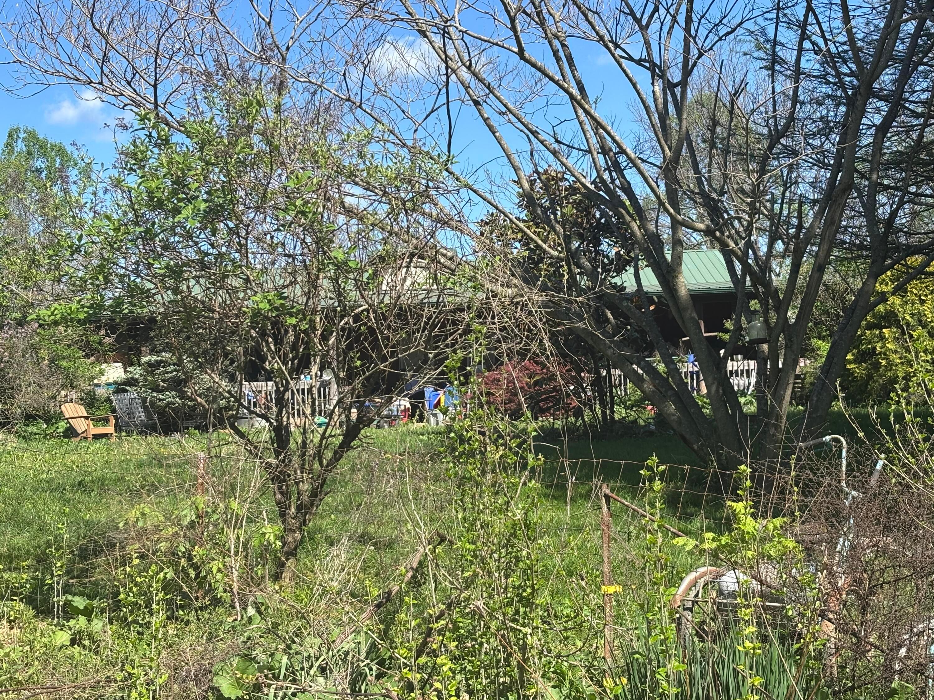 24215 Sheets Mccoy Road Property Photo 2