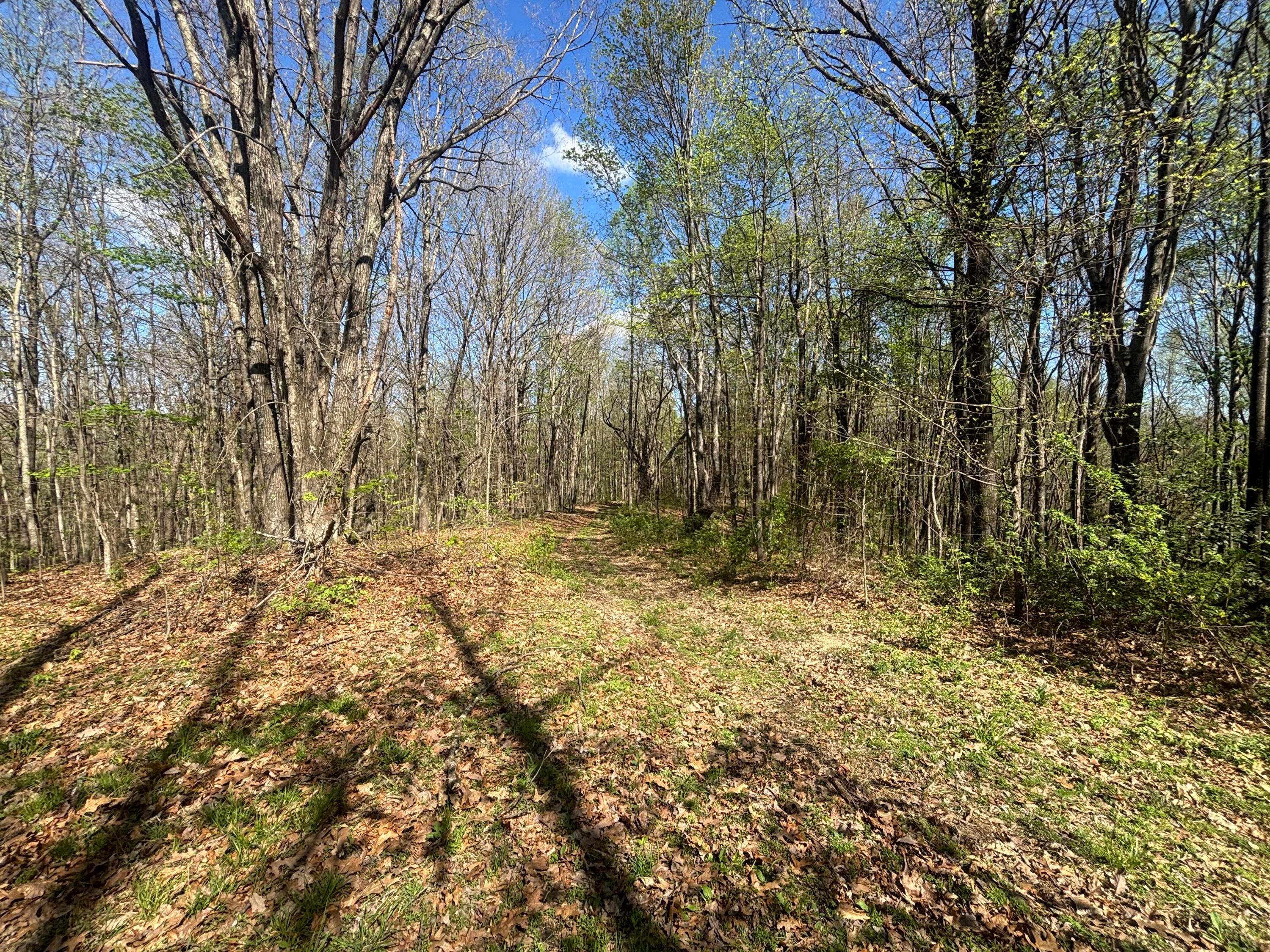 24215 Sheets Mccoy Road Property Photo 10