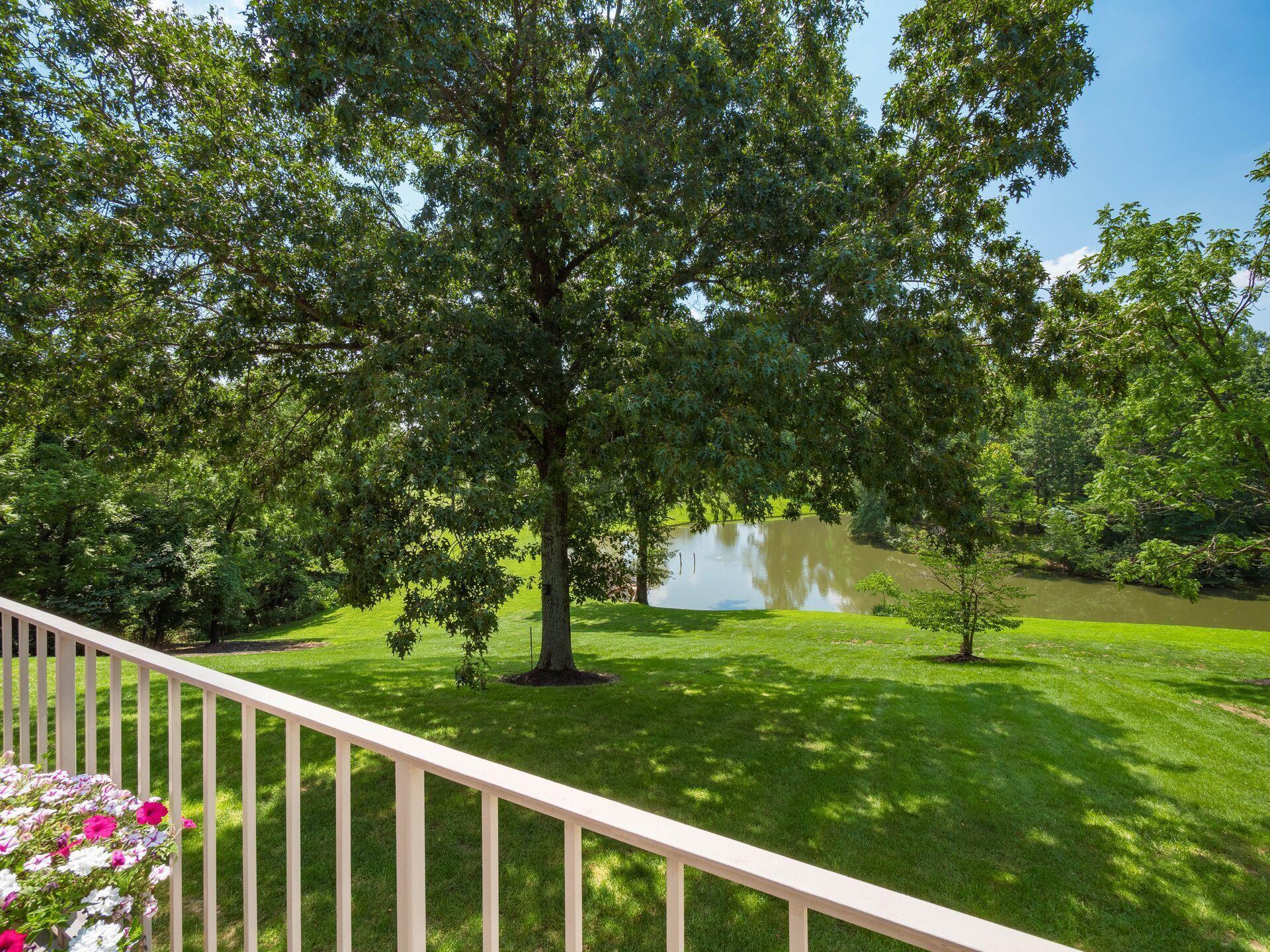 236 Tom Corwin Road Property Photo 27