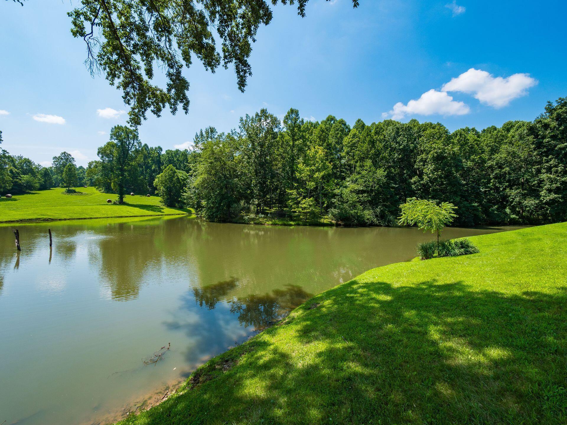 236 Tom Corwin Road Property Photo 64