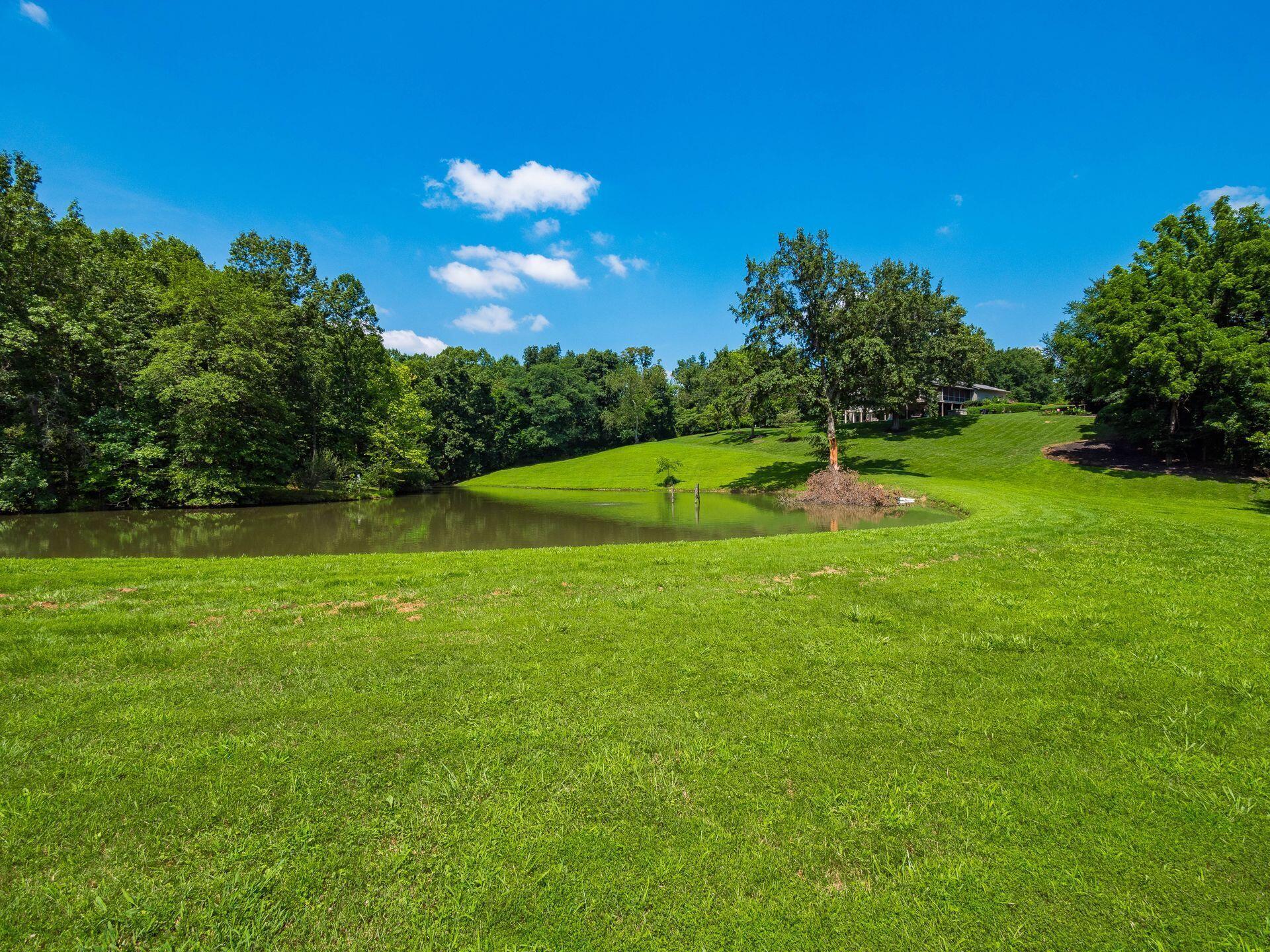 236 Tom Corwin Road Property Photo 66