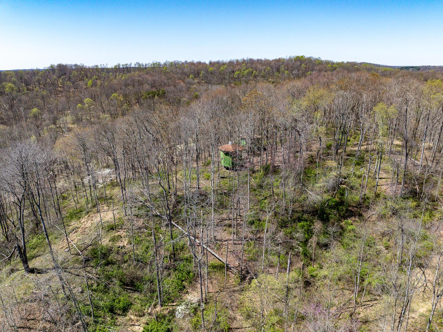 0 Cox Road Property Photo 8