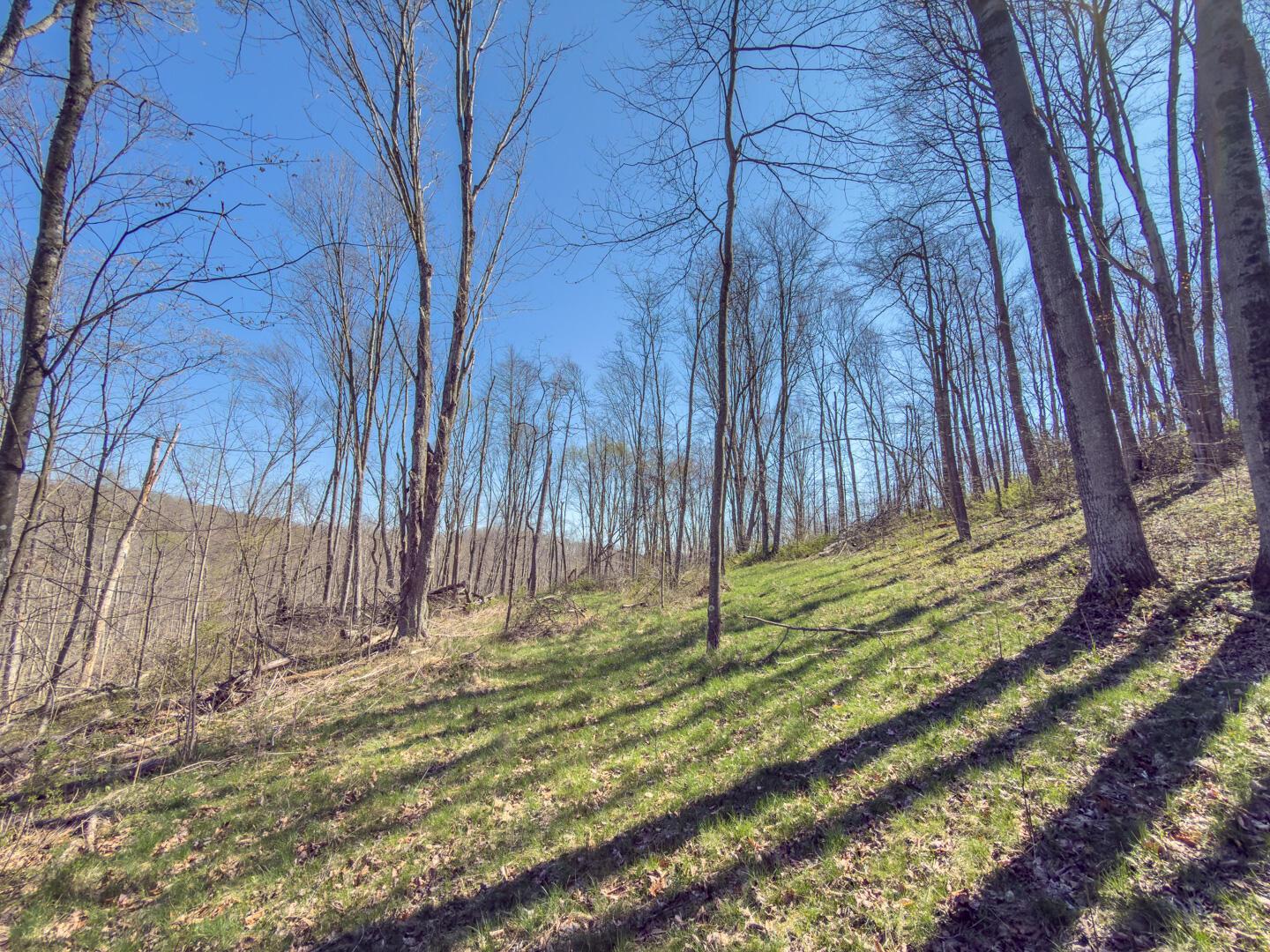 0 Cox Road Property Photo 29