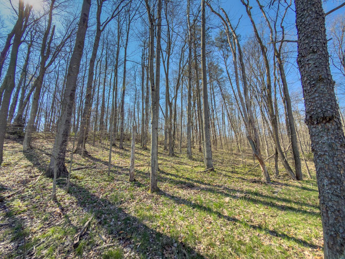 0 Cox Road Property Photo 30