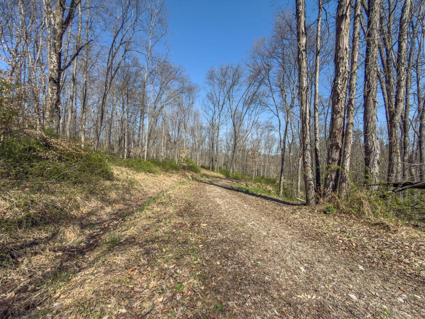 0 Cox Road Property Photo 35