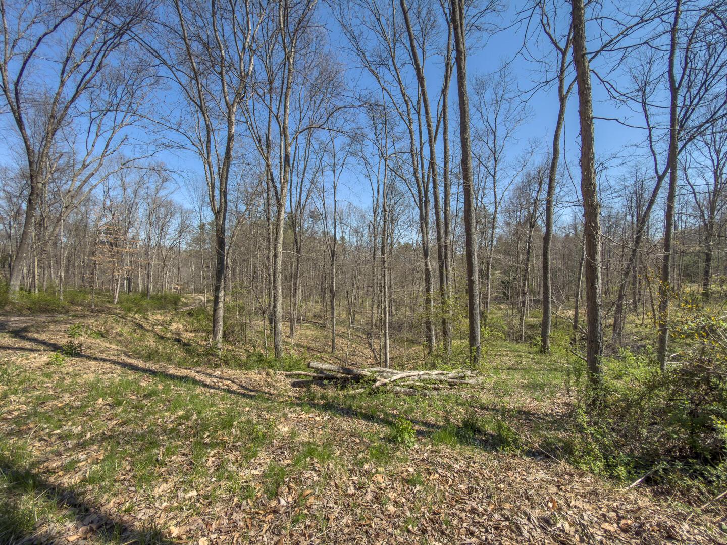 0 Cox Road Property Photo 36