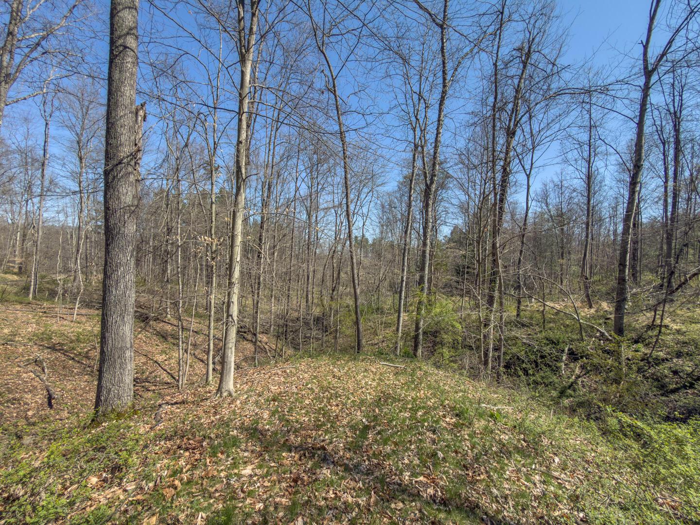 0 Cox Road Property Photo 37