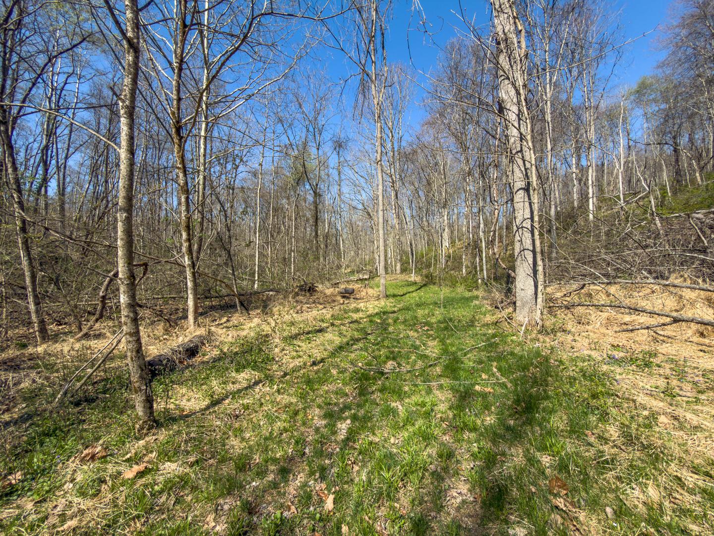 0 Cox Road Property Photo 45