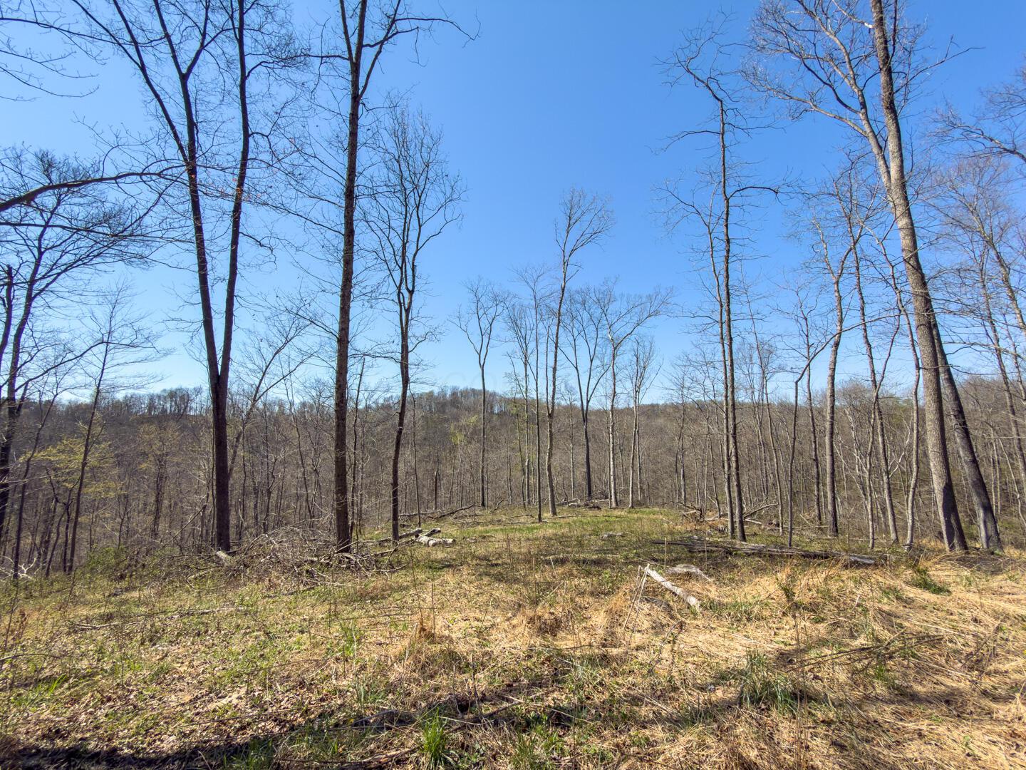 0 Cox Road Property Photo 50