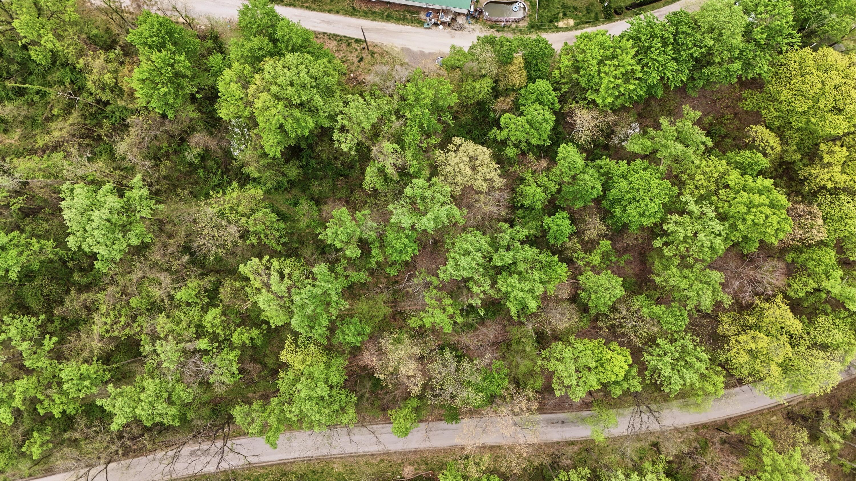 37011 Scout Road Property Photo 45