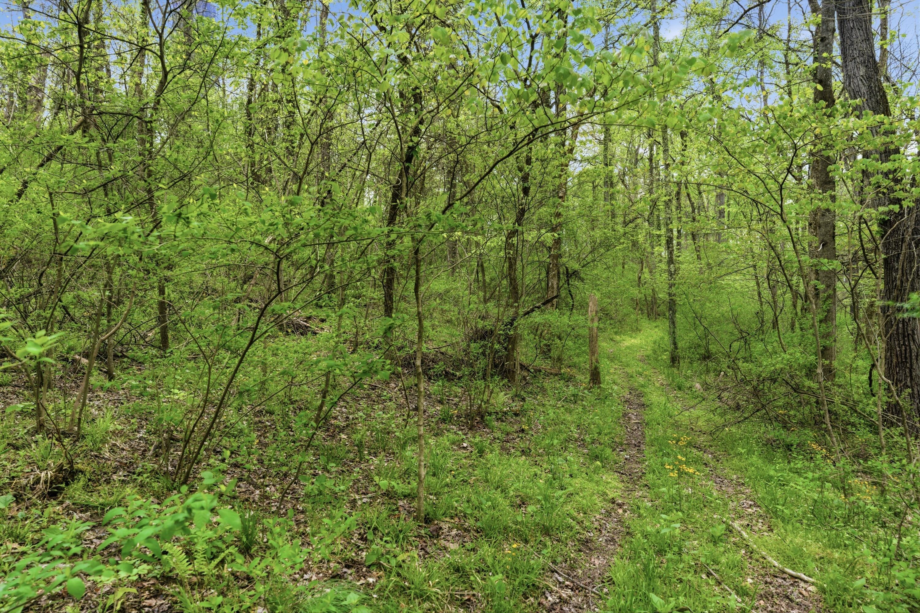 37011 Scout Road Property Photo 46