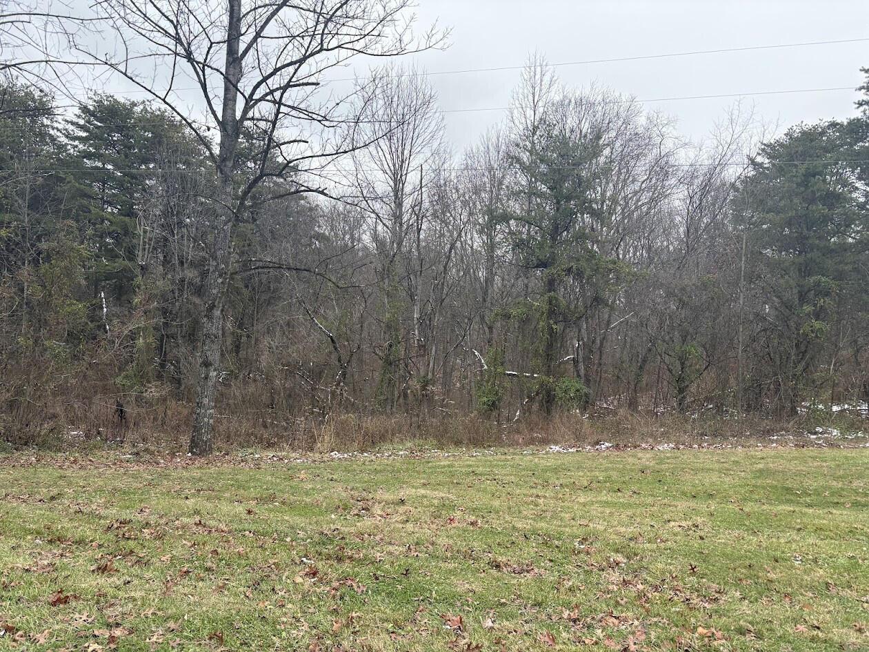 0 Miles Lane Property Photo 1