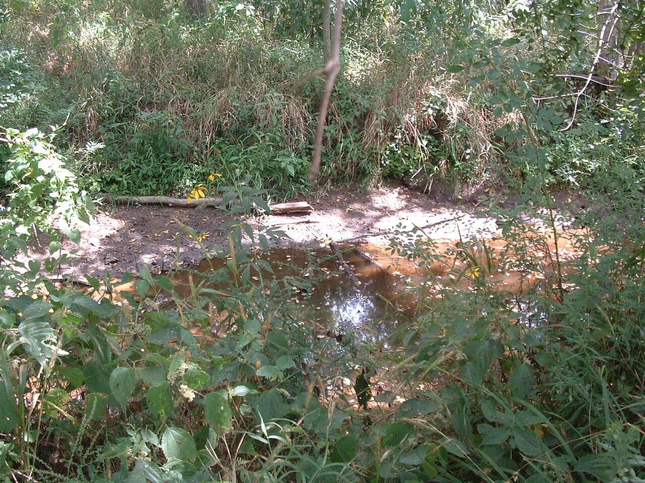11950 Crouse Willison Road Property Photo 43