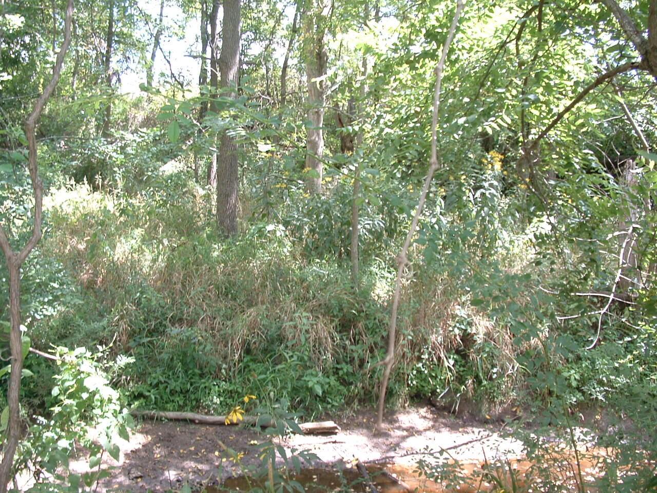 11950 Crouse Willison Road Property Photo 44