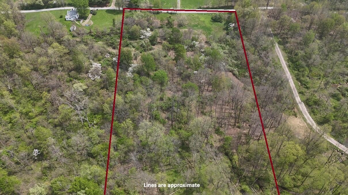 0 Camp Road Property Photo 3