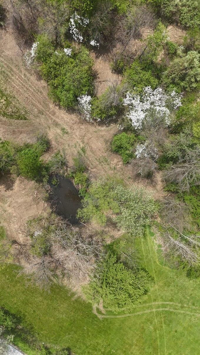 0 Camp Road Property Photo 4