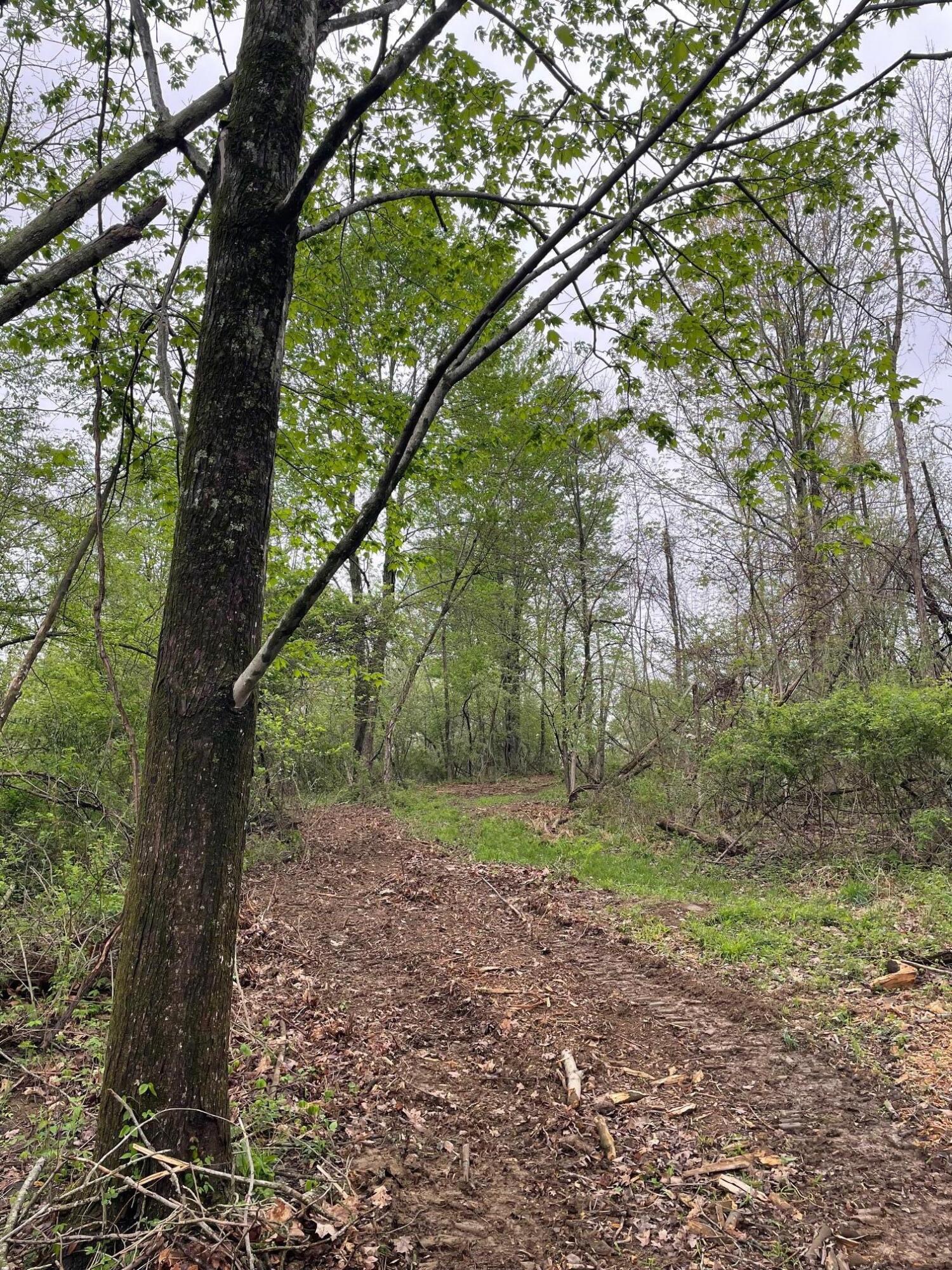 0 Camp Road Property Photo 6