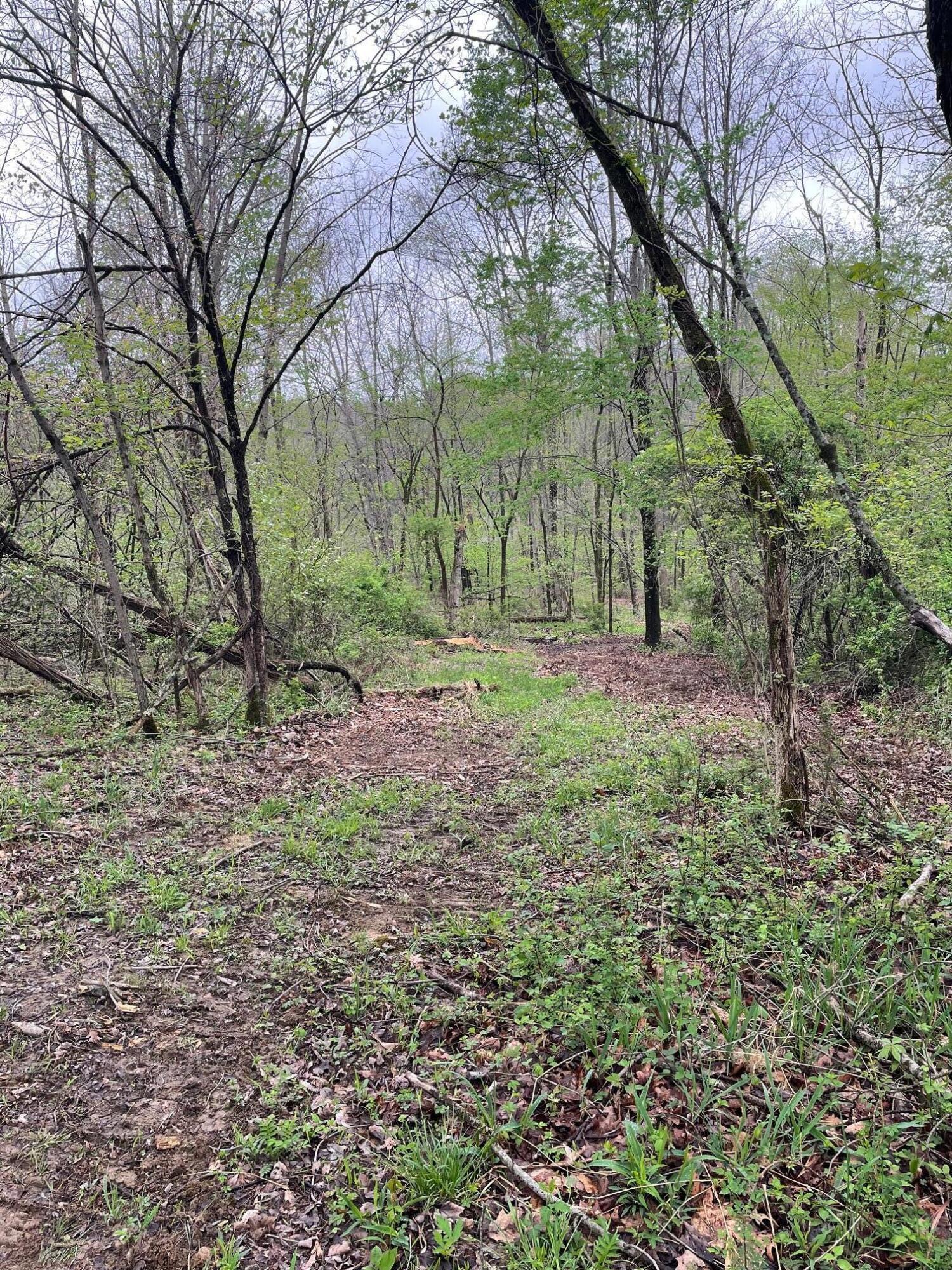 0 Camp Road Property Photo 8